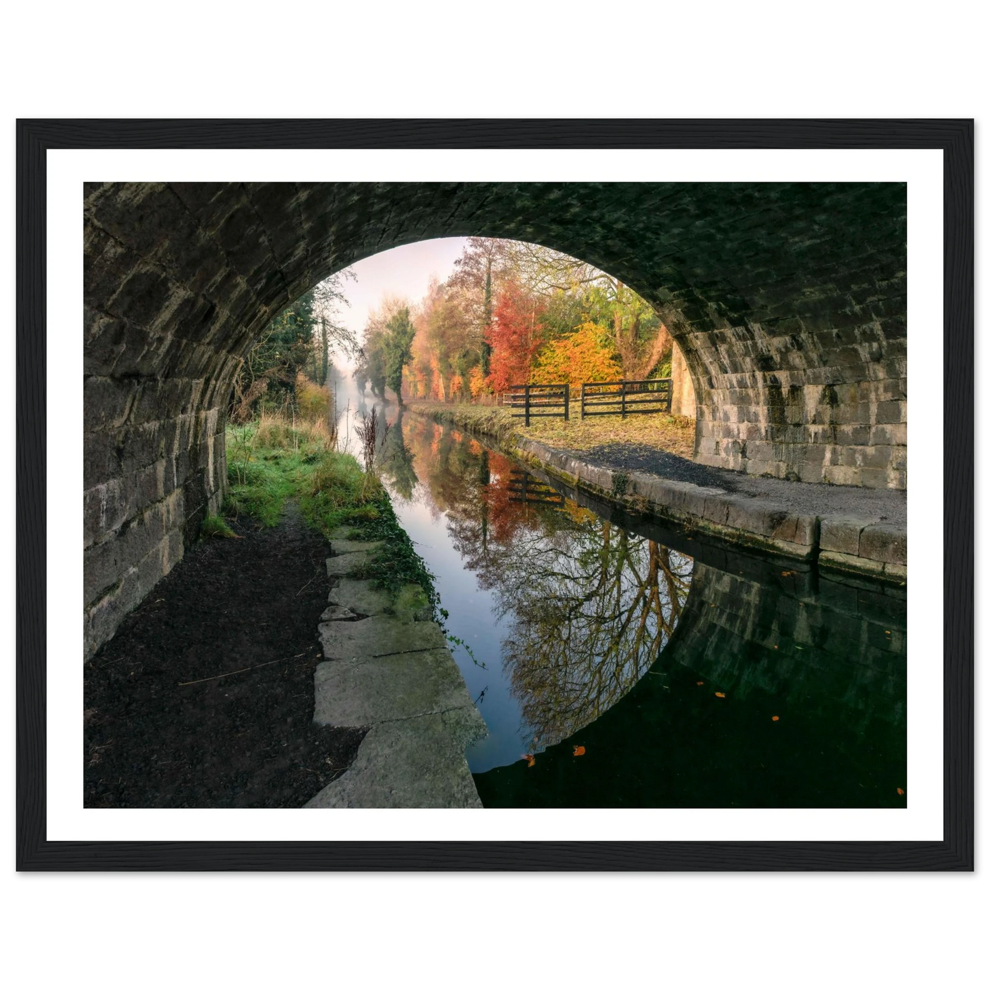 818f2157-fb02-4b37-979f-a7eee3f46061