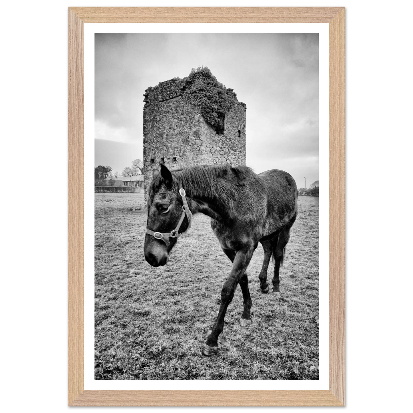 81d80ff0-edb8-47a7-889f-bcd66de239ed