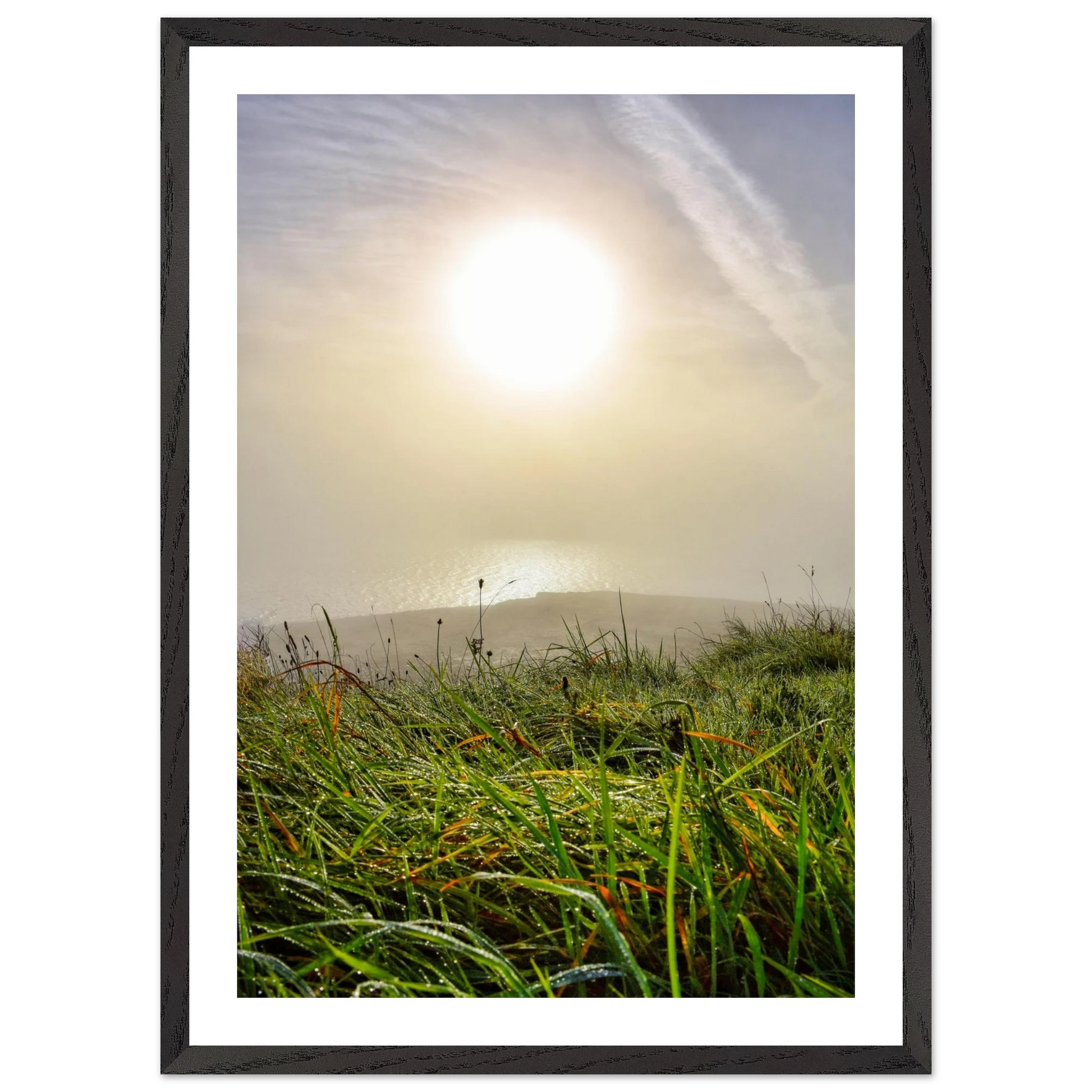 82151ef9-a272-4584-8cba-2ffa0903e4e4