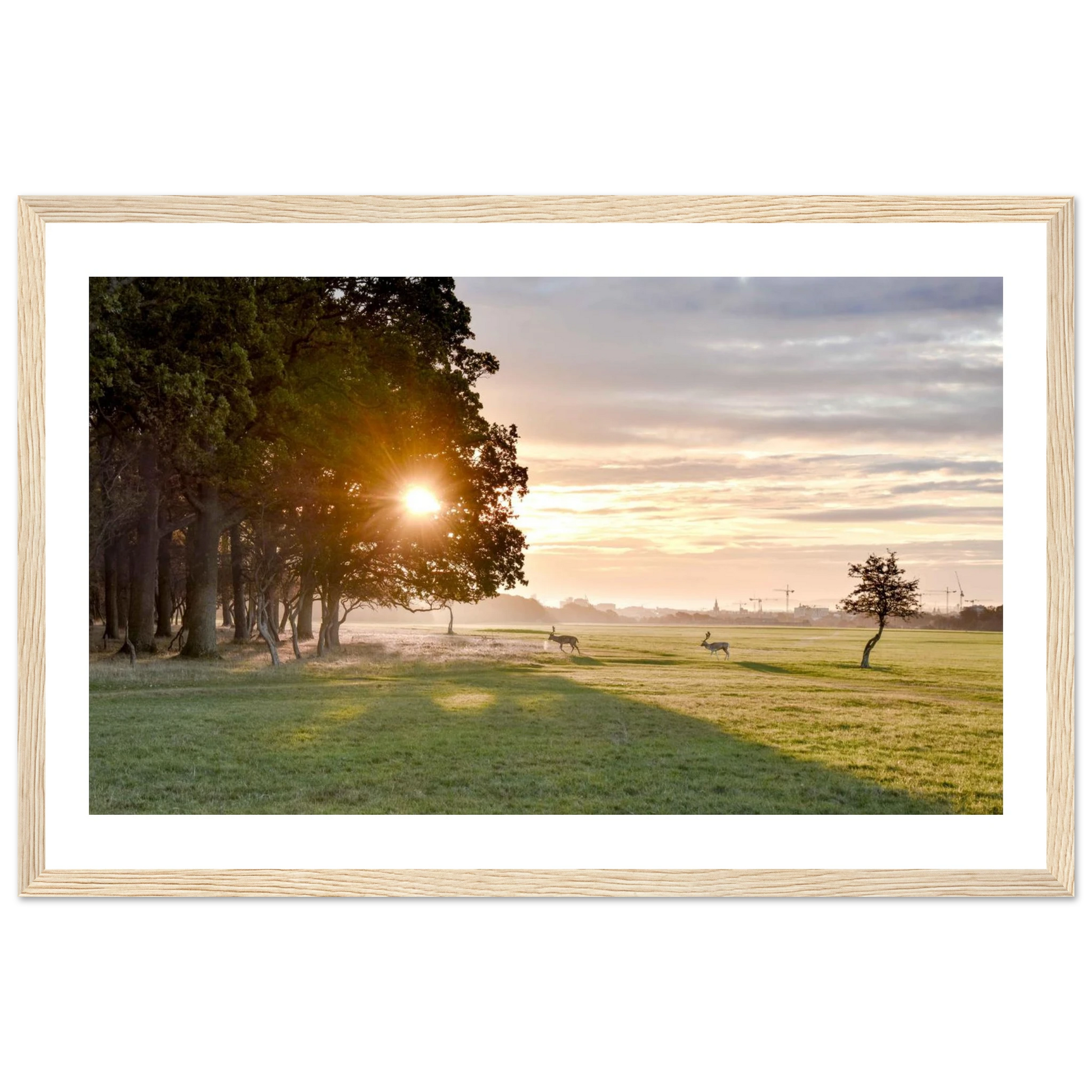 8216e08c-afe7-4cb2-b6ed-54acaf0162e9