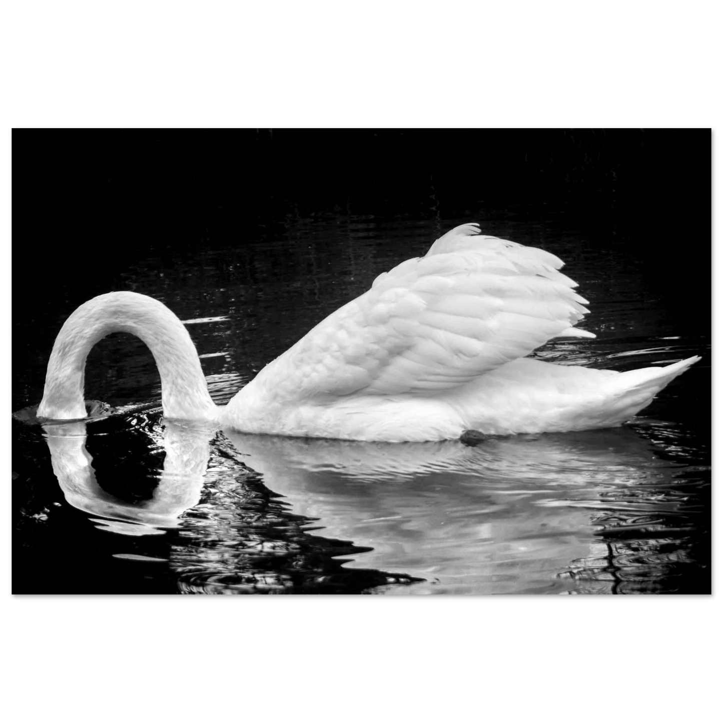 829f3b72-40f3-4b9e-b8a7-ef4af67320ae