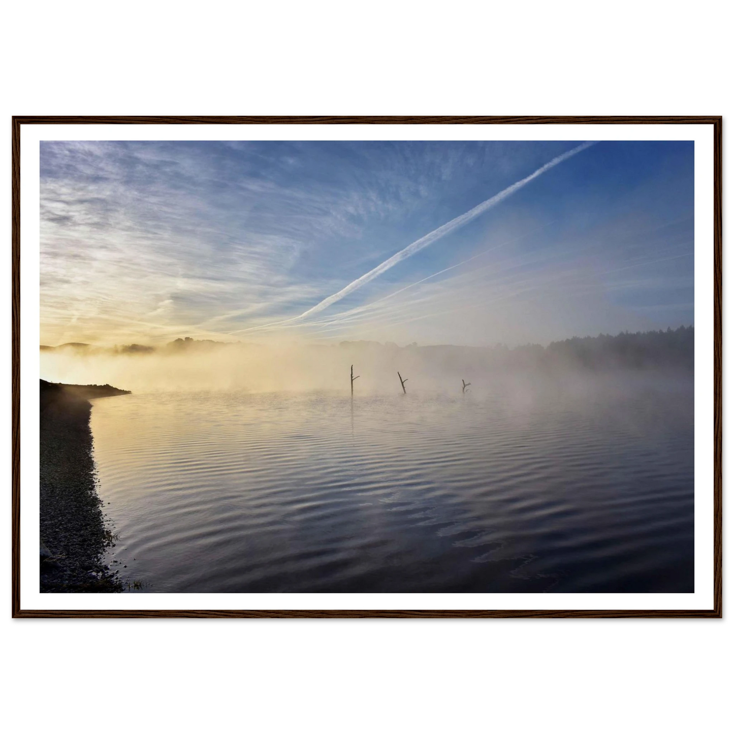 82f3a432-dbdb-4c56-bb29-9296b8dfeeb6