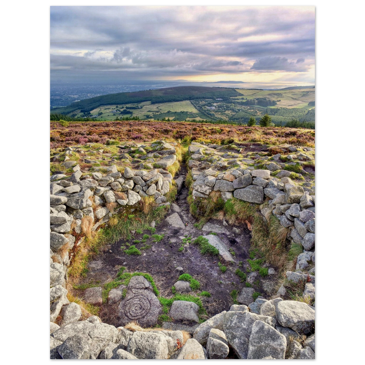 838b1fe4-1bf2-49d2-b424-5cc555d53a65