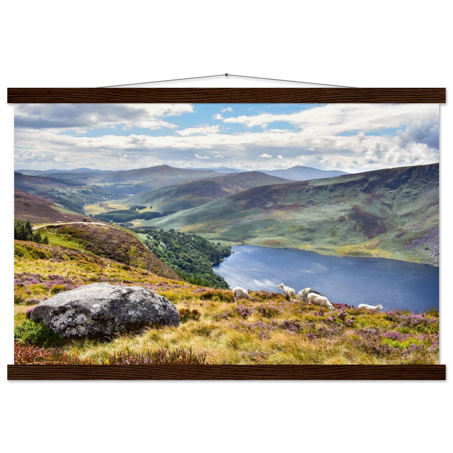 839d86af-866d-4e36-8283-829ef90ad501