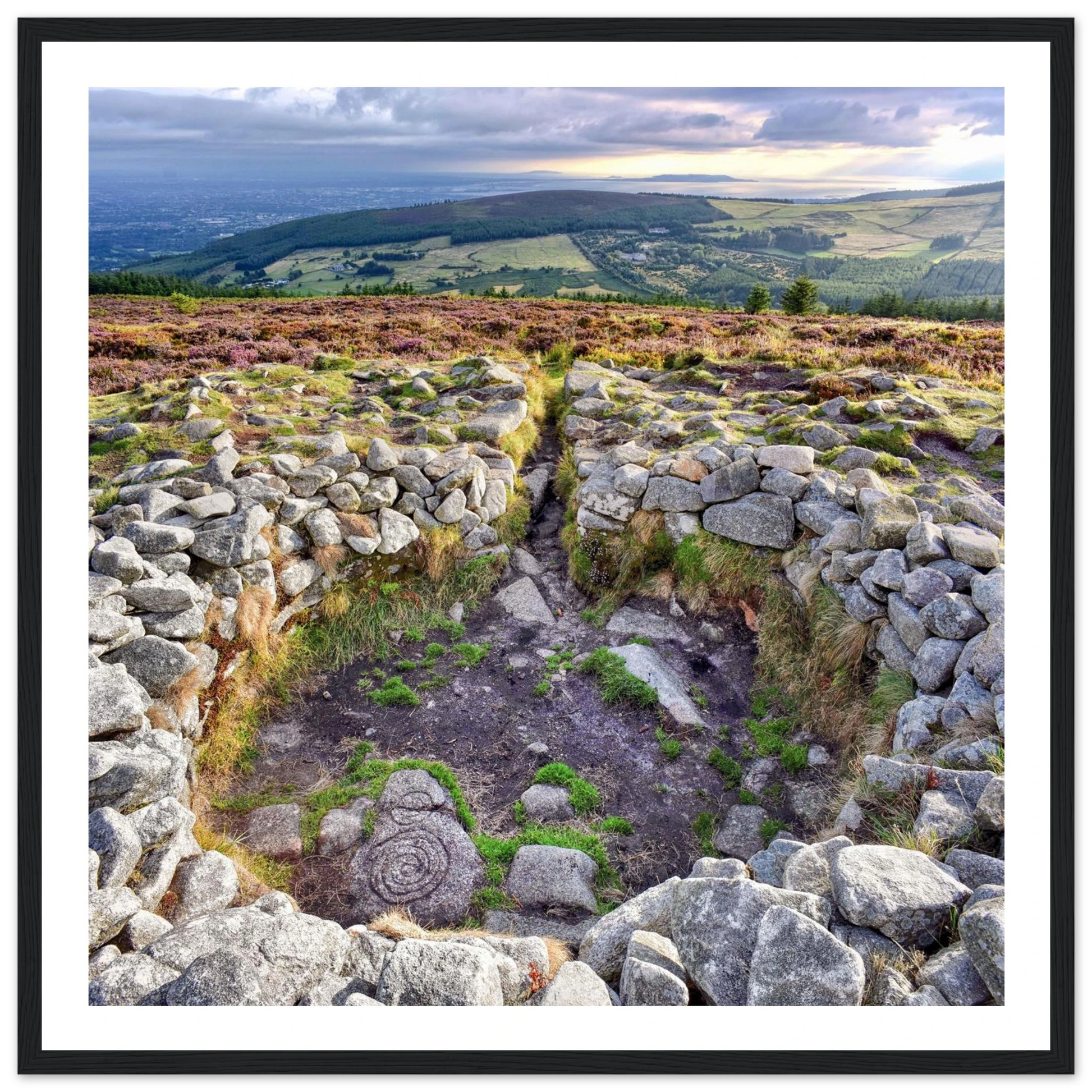 83b983c5-f153-4812-95c7-6731c9afb279