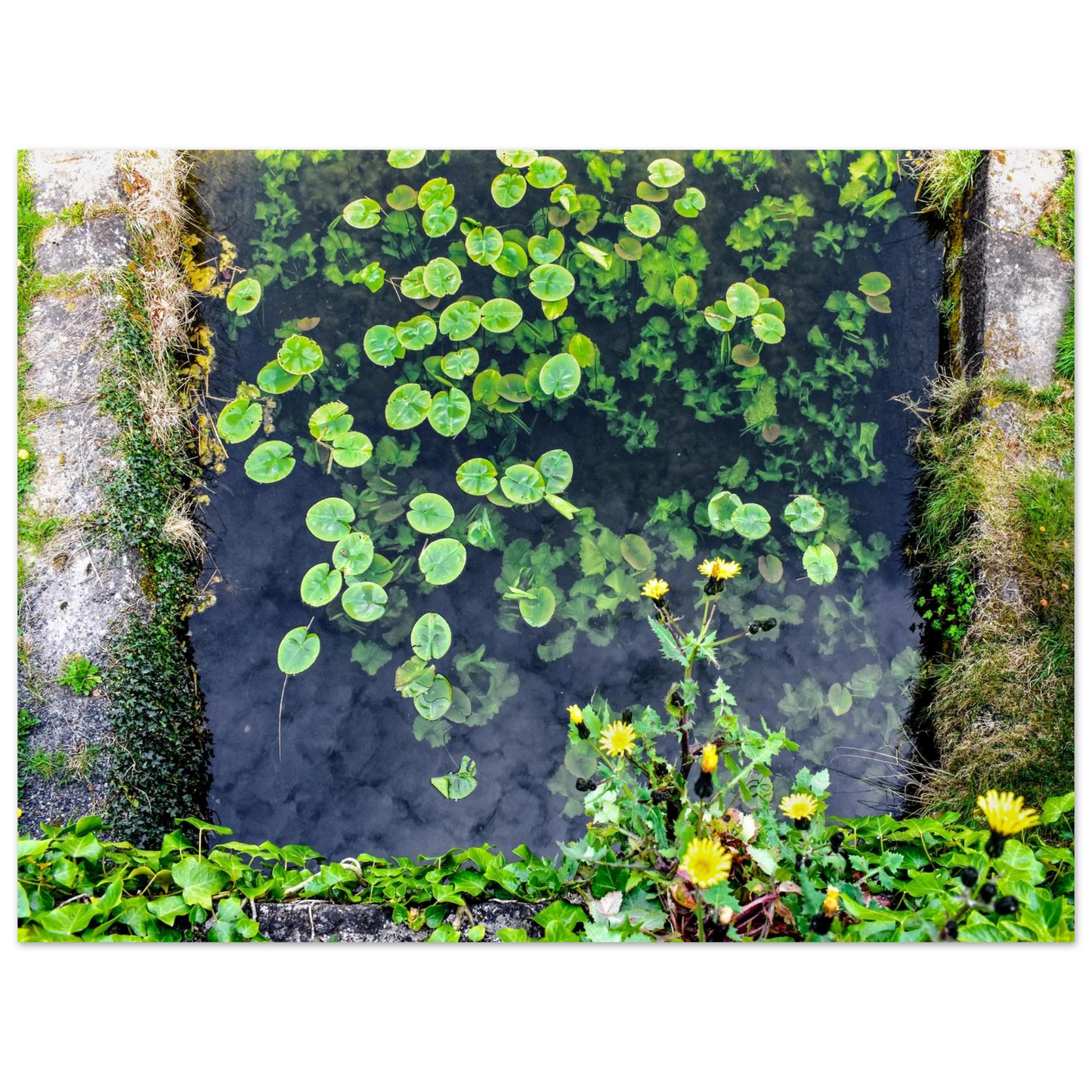 844062f5-9865-4cef-b783-4e3faa523cba