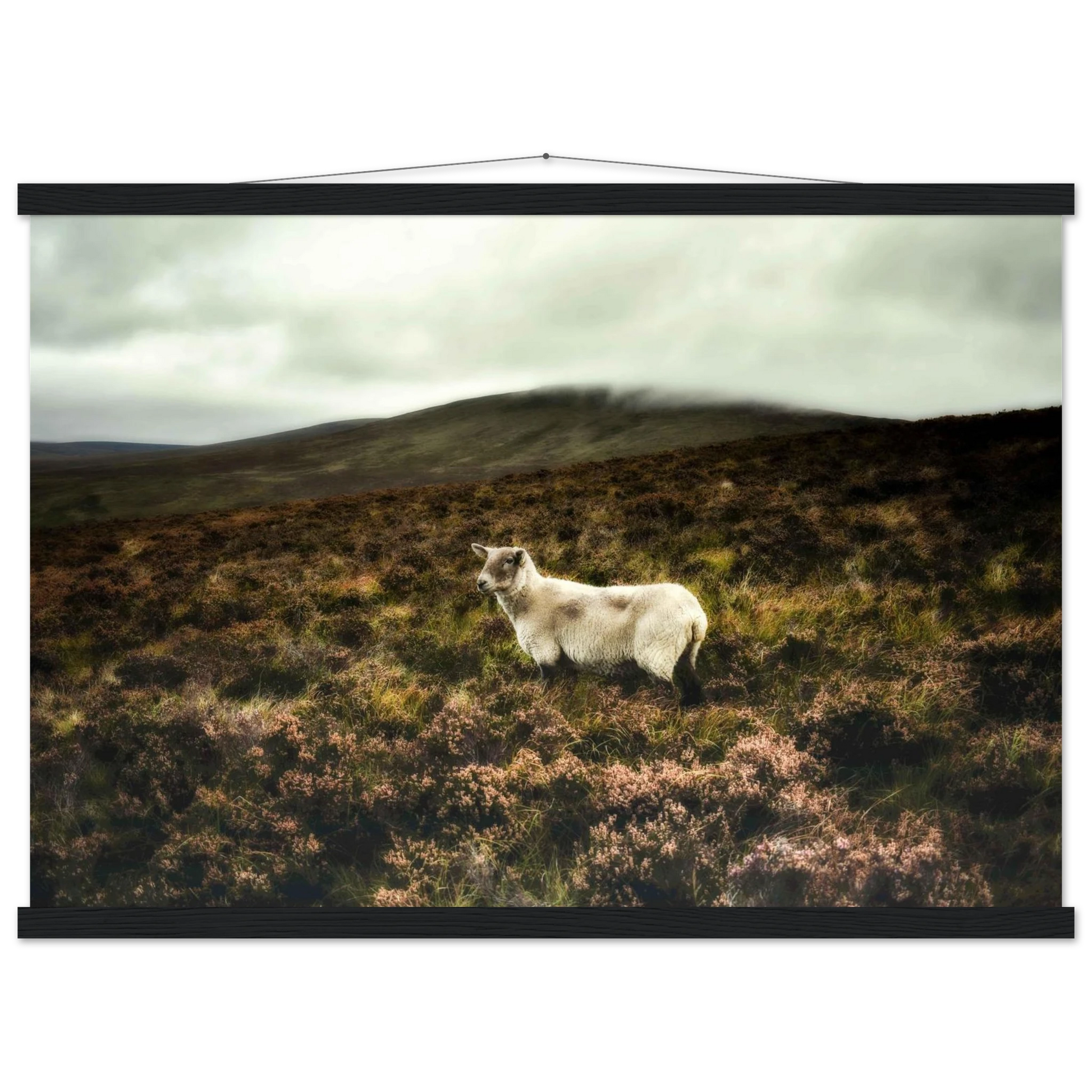 84492b9c-68ca-4075-b3bf-604615f8a58e