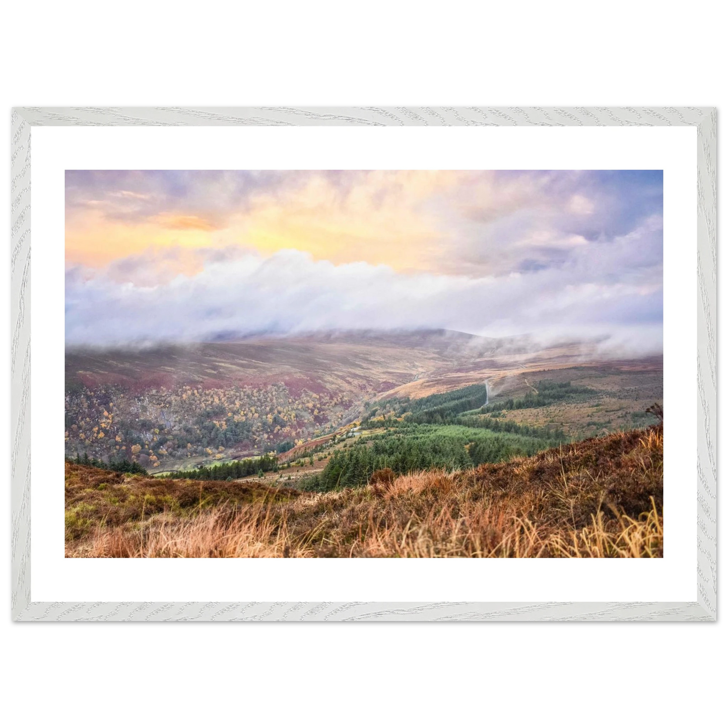 849950bd-8c99-43da-964f-171d49d0ca67