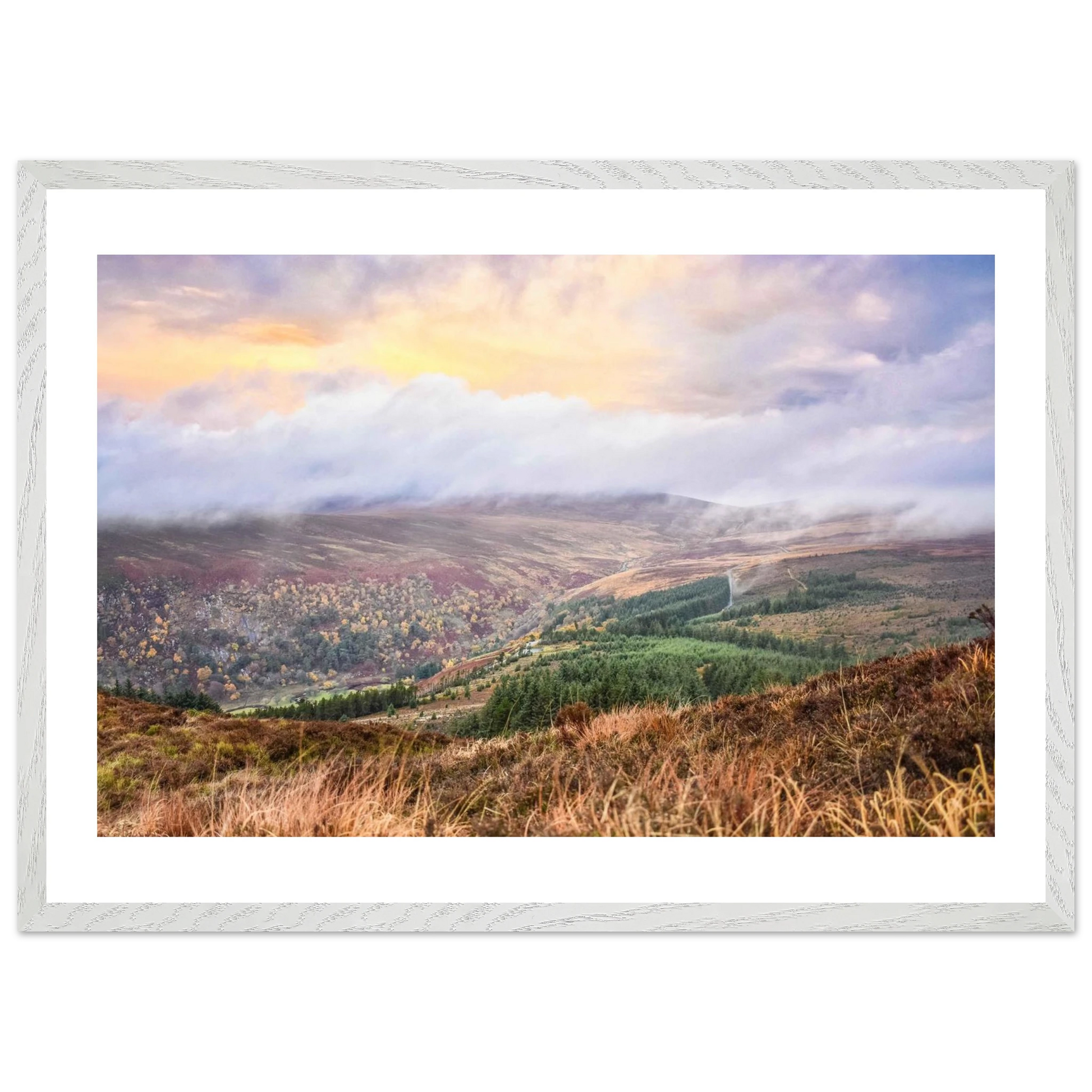 849950bd-8c99-43da-964f-171d49d0ca67