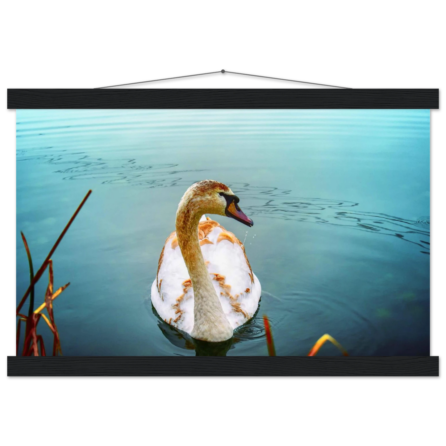 84a0b257-8ac8-4f34-846d-0dfe183ca6a8