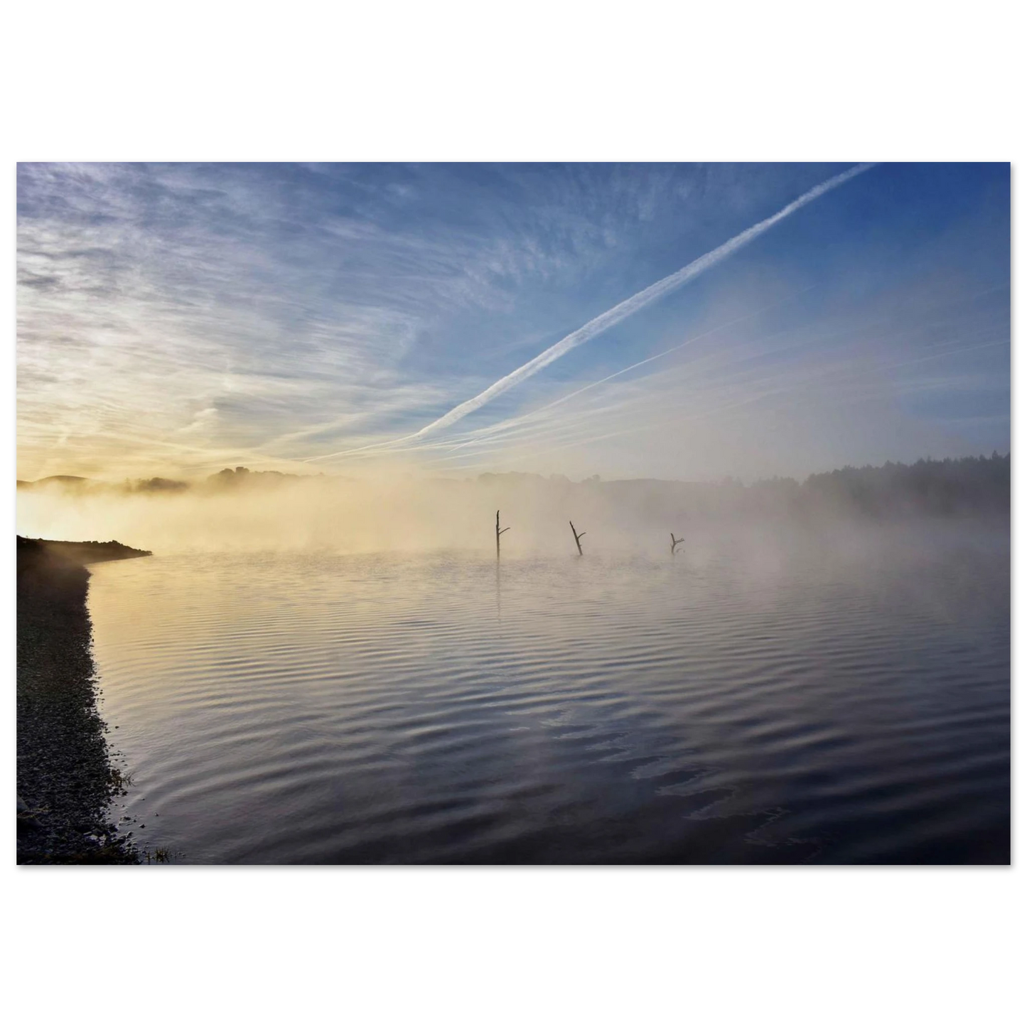 84ad0d87-2248-4e21-b1b6-f6937c7cd397