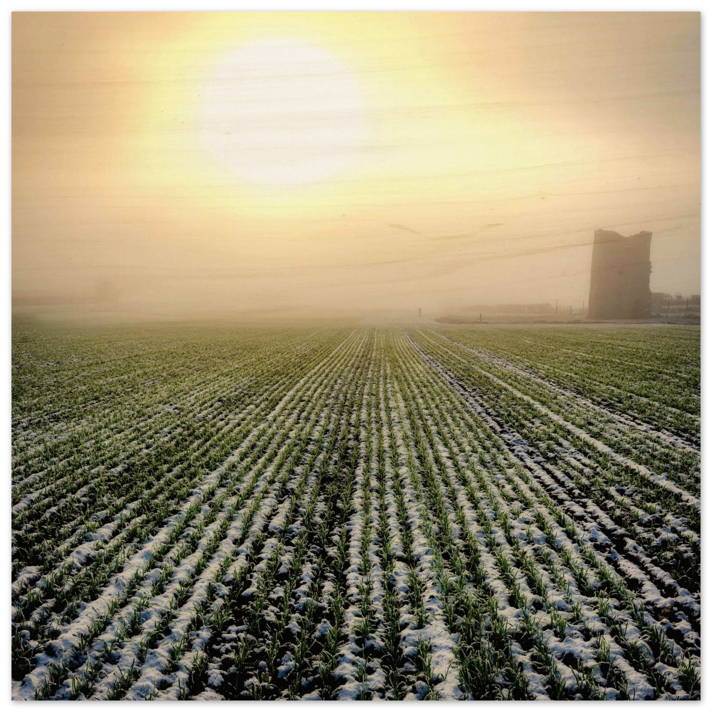 84fe375b-0203-4705-a43c-bbffcd6e057f