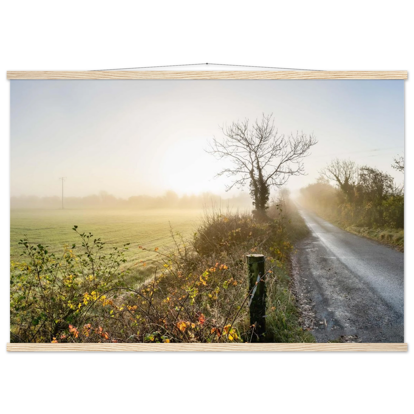 85b34d13-5ec8-4228-a948-619ce5656c4d