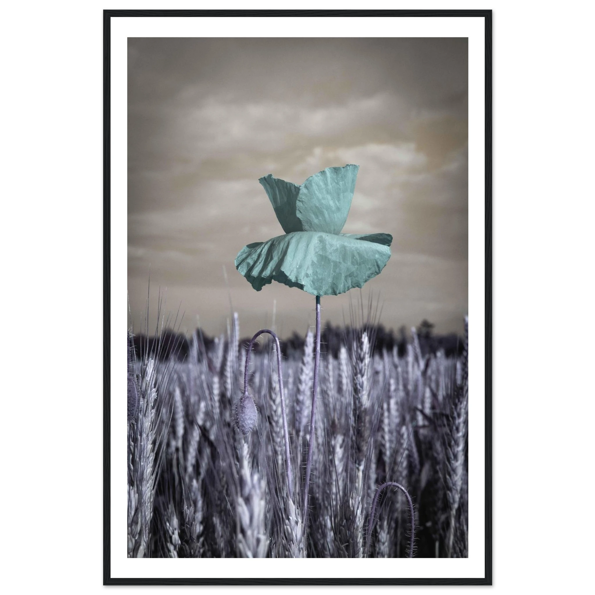 860c2b44-9b8c-4652-91bd-7c6d3613daab