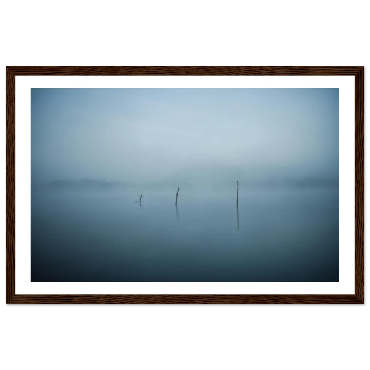 8678f335-a4b9-4d50-bb83-e966d25c2382