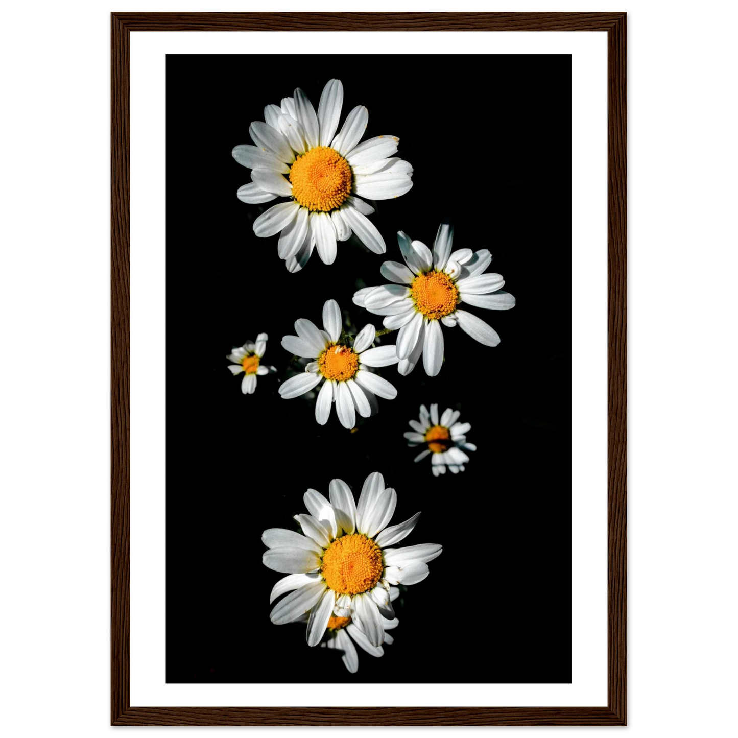 867f661e-91ac-4329-b722-2f31dde76841