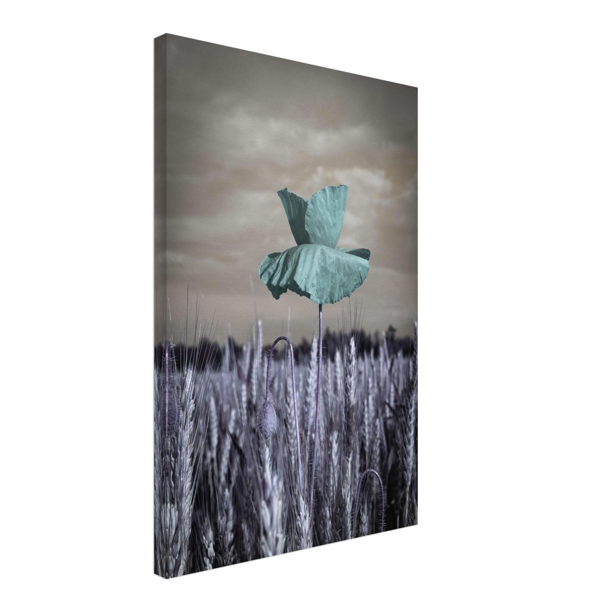 8693188f-253e-47d5-819a-542ef784dea5