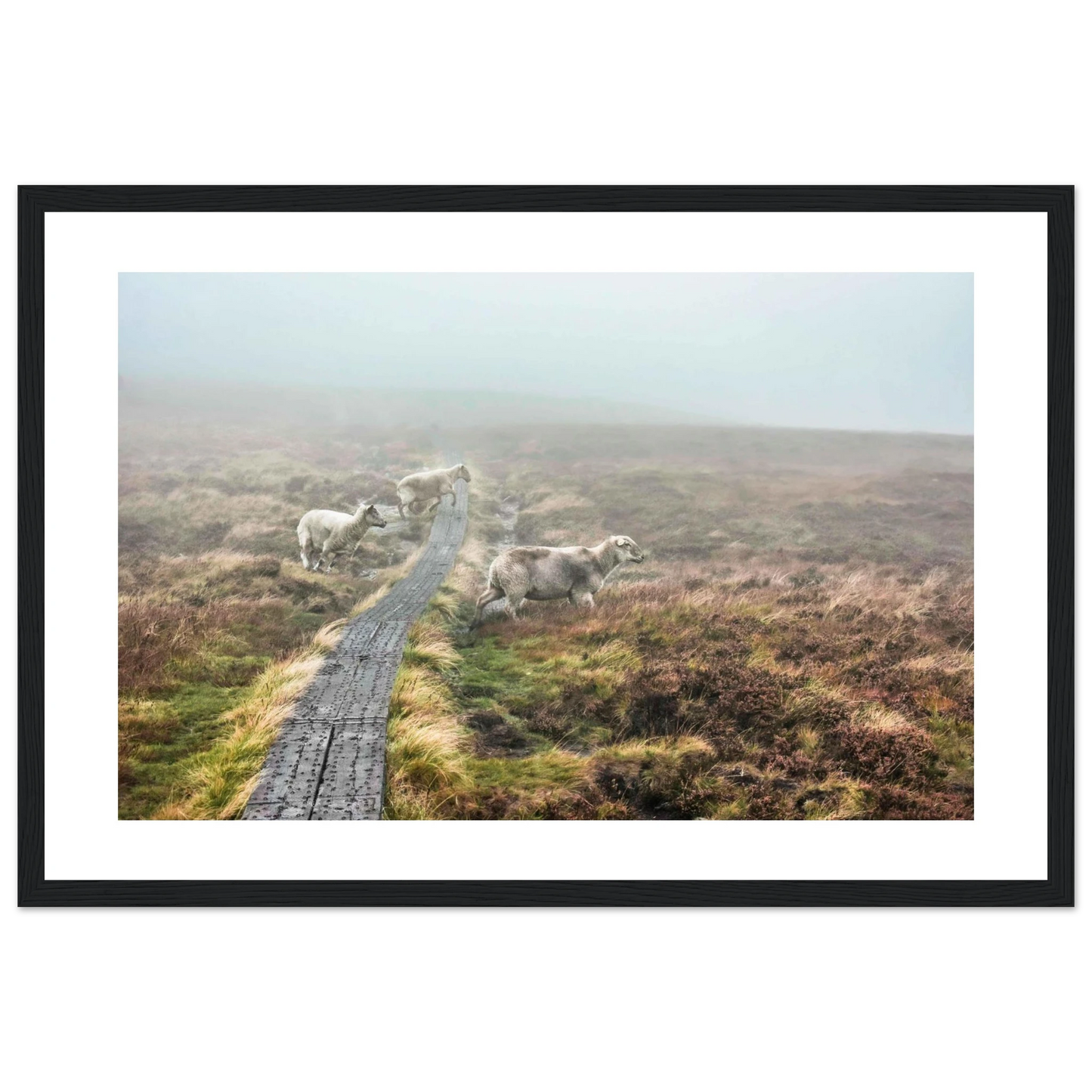 86ac58fa-4c49-46c6-a123-f7b0ef8b7e46