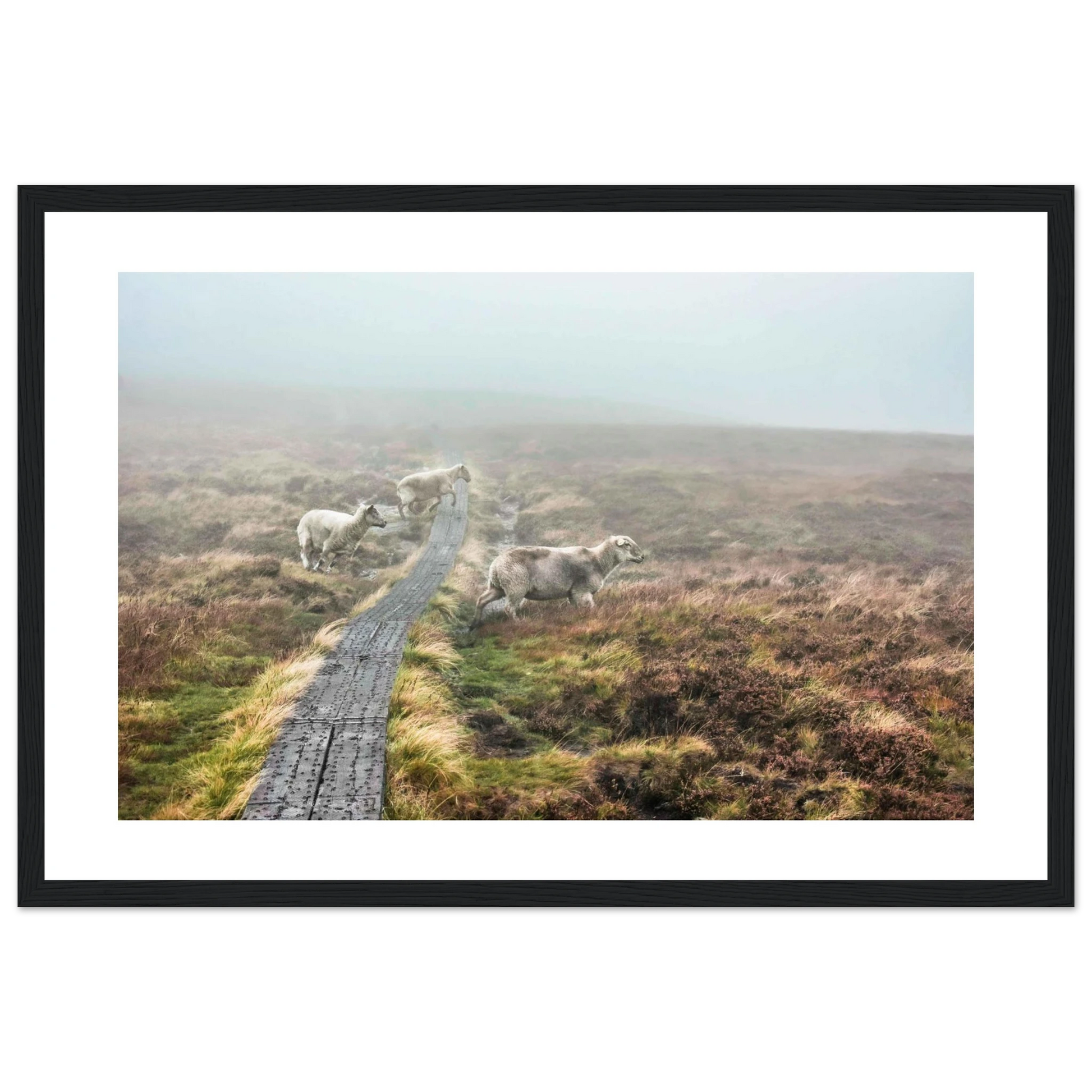 86ac58fa-4c49-46c6-a123-f7b0ef8b7e46