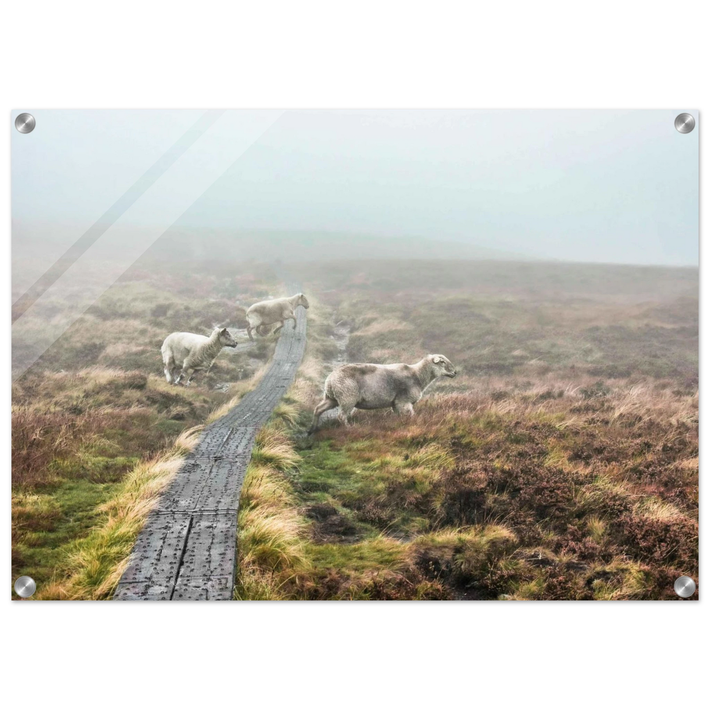 86b6804d-df42-4d7d-a86b-56580c7c9644