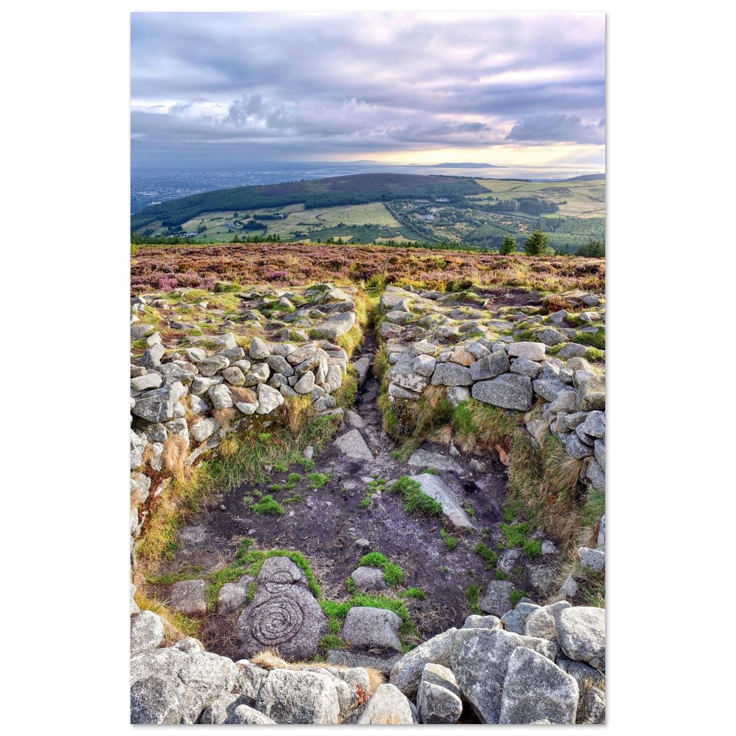 8736be8c-6a0a-4396-bb65-29b9d94d5e69