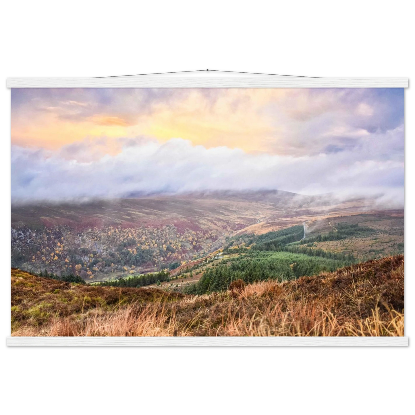 874a5702-3000-4f17-811d-cb2fa49d79c6