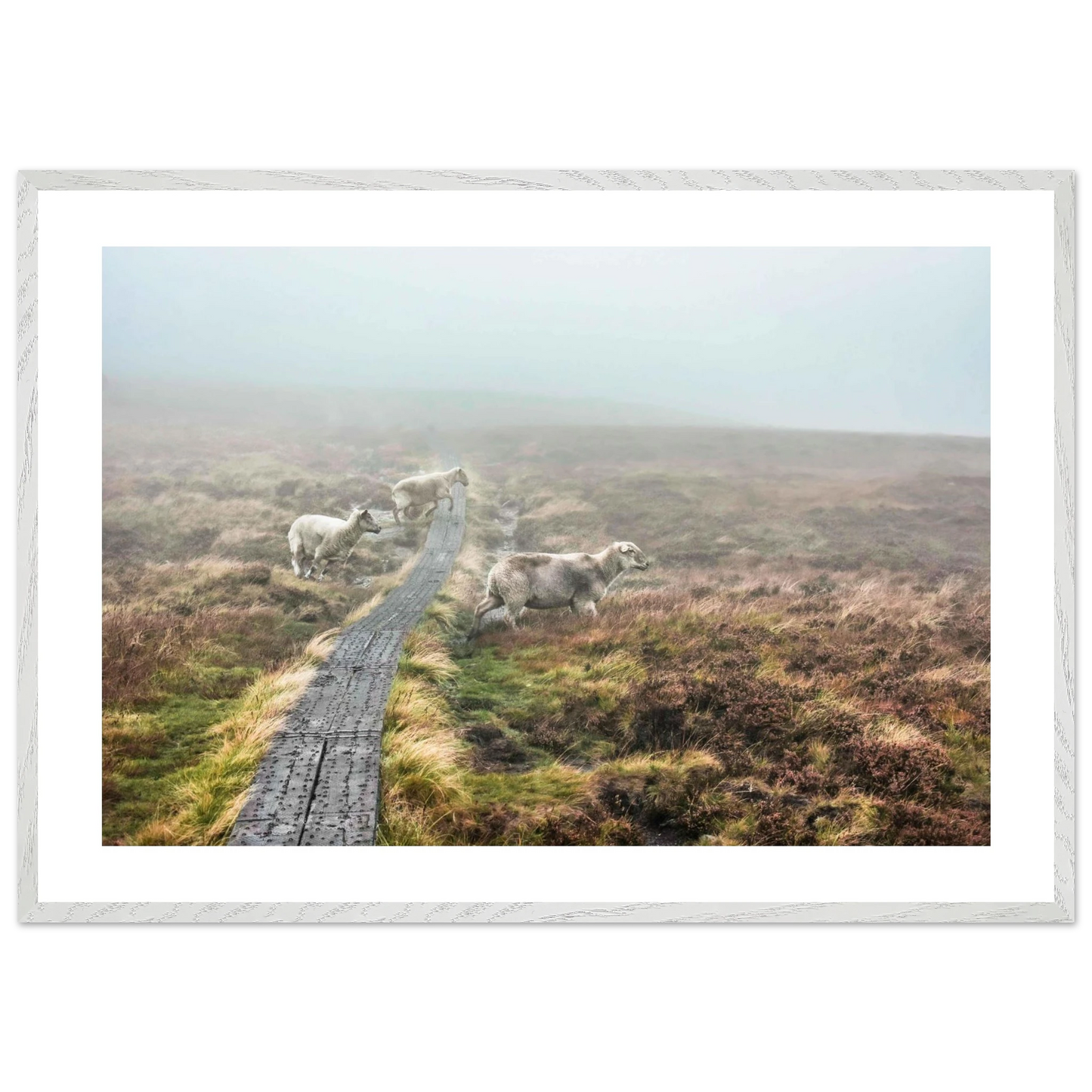 8768cdf4-3f7e-4f4d-aa05-f671dbc10f06