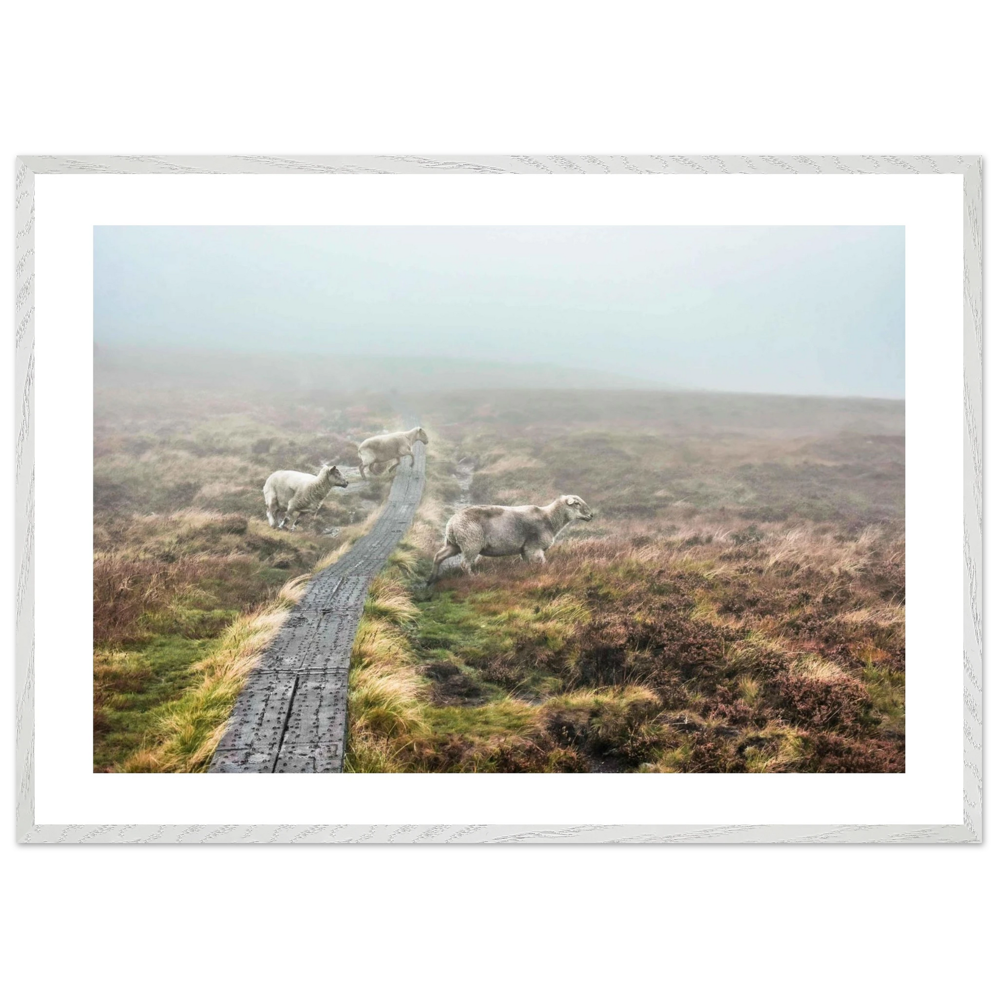 8768cdf4-3f7e-4f4d-aa05-f671dbc10f06