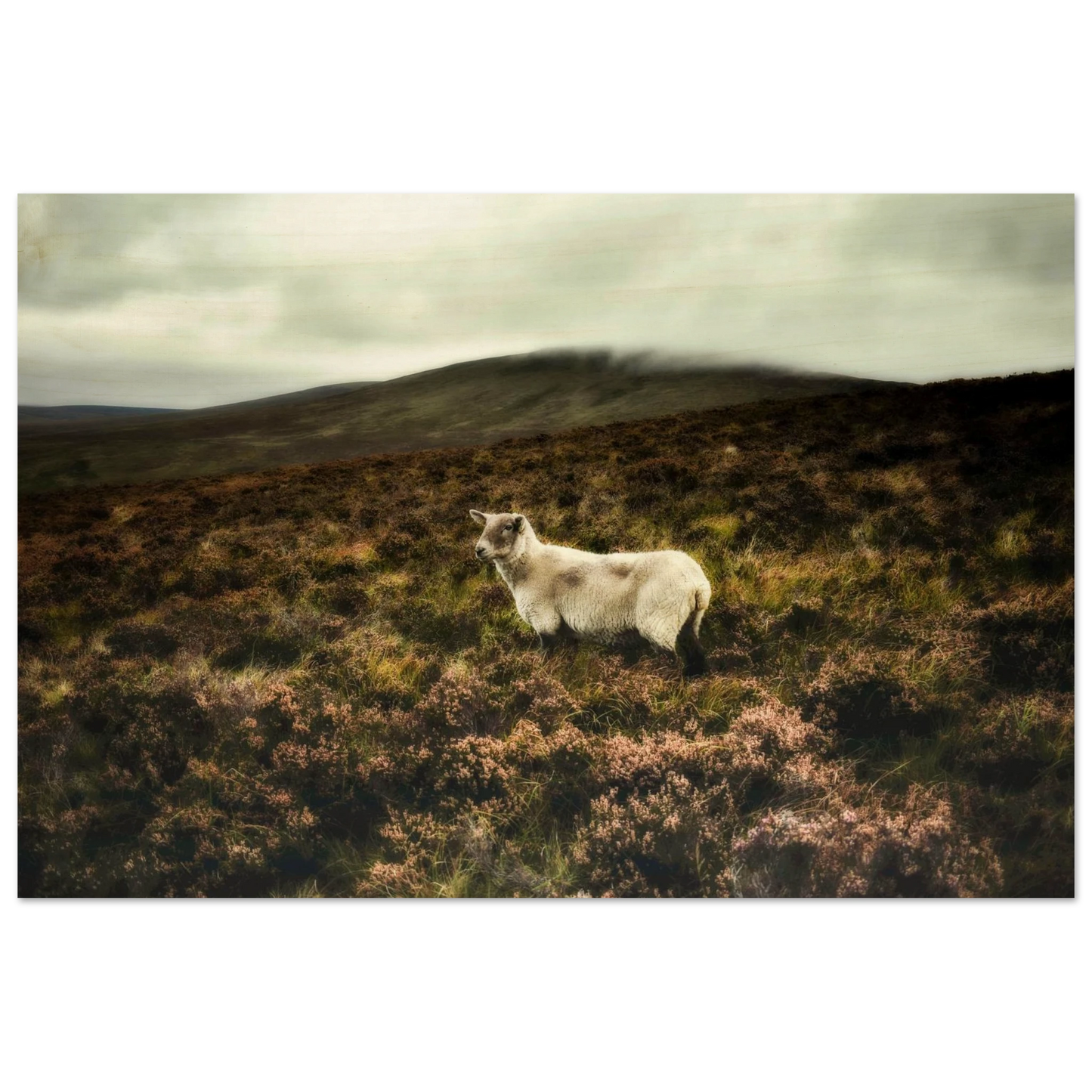 87886f5b-f0b4-4453-9567-49fb4ebb1fe7