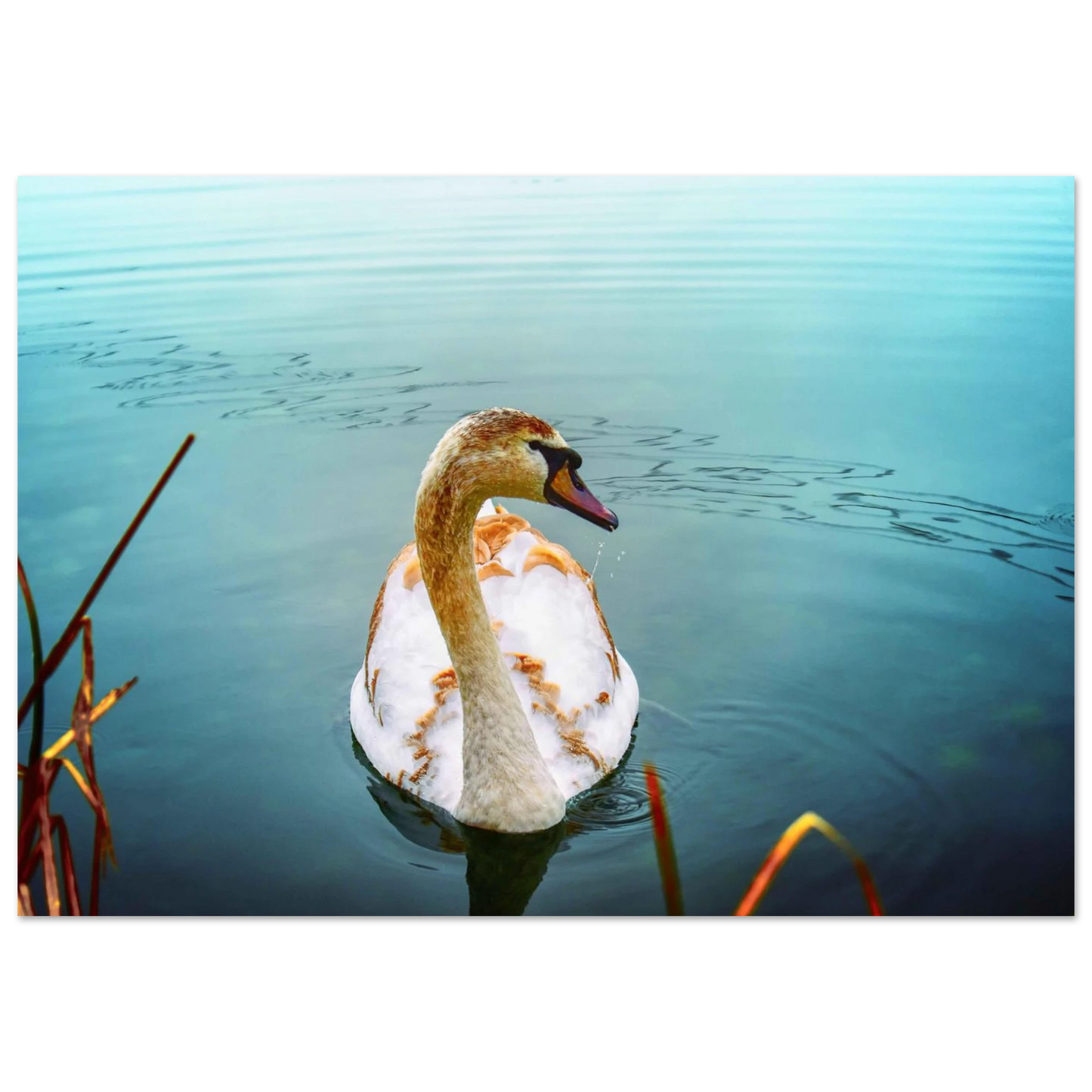 878933df-9a1d-4fb5-9de2-f2e6c82f8b3b