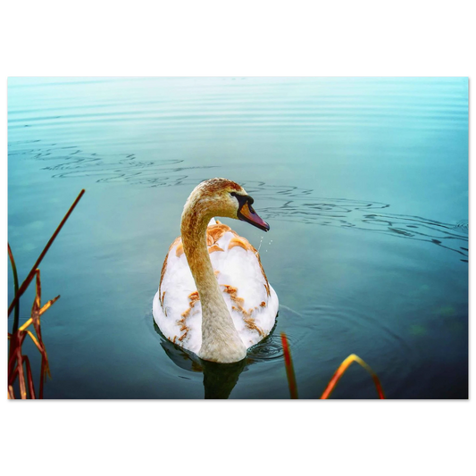 878933df-9a1d-4fb5-9de2-f2e6c82f8b3b