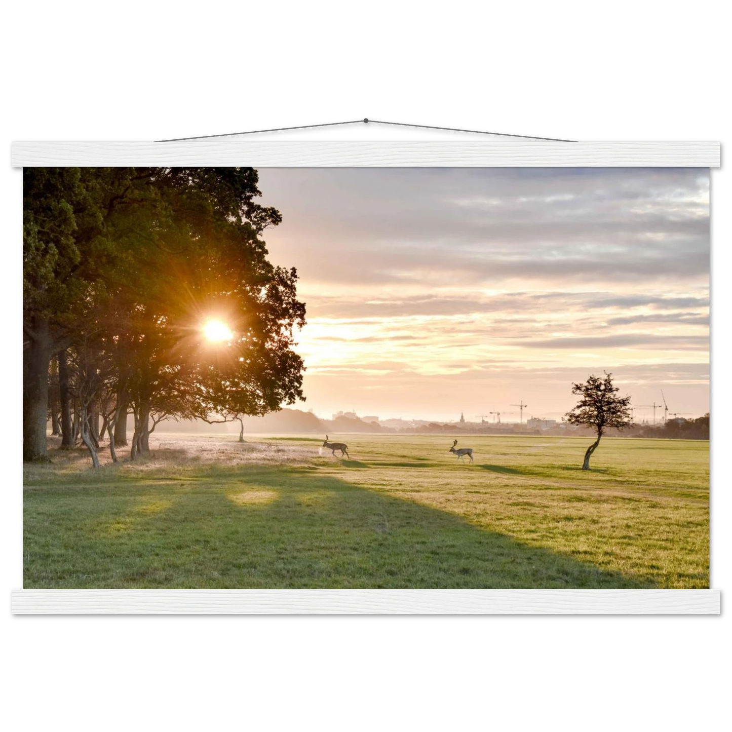 87b84fa8-5ad0-4adf-8844-c5e1e47a1f1c