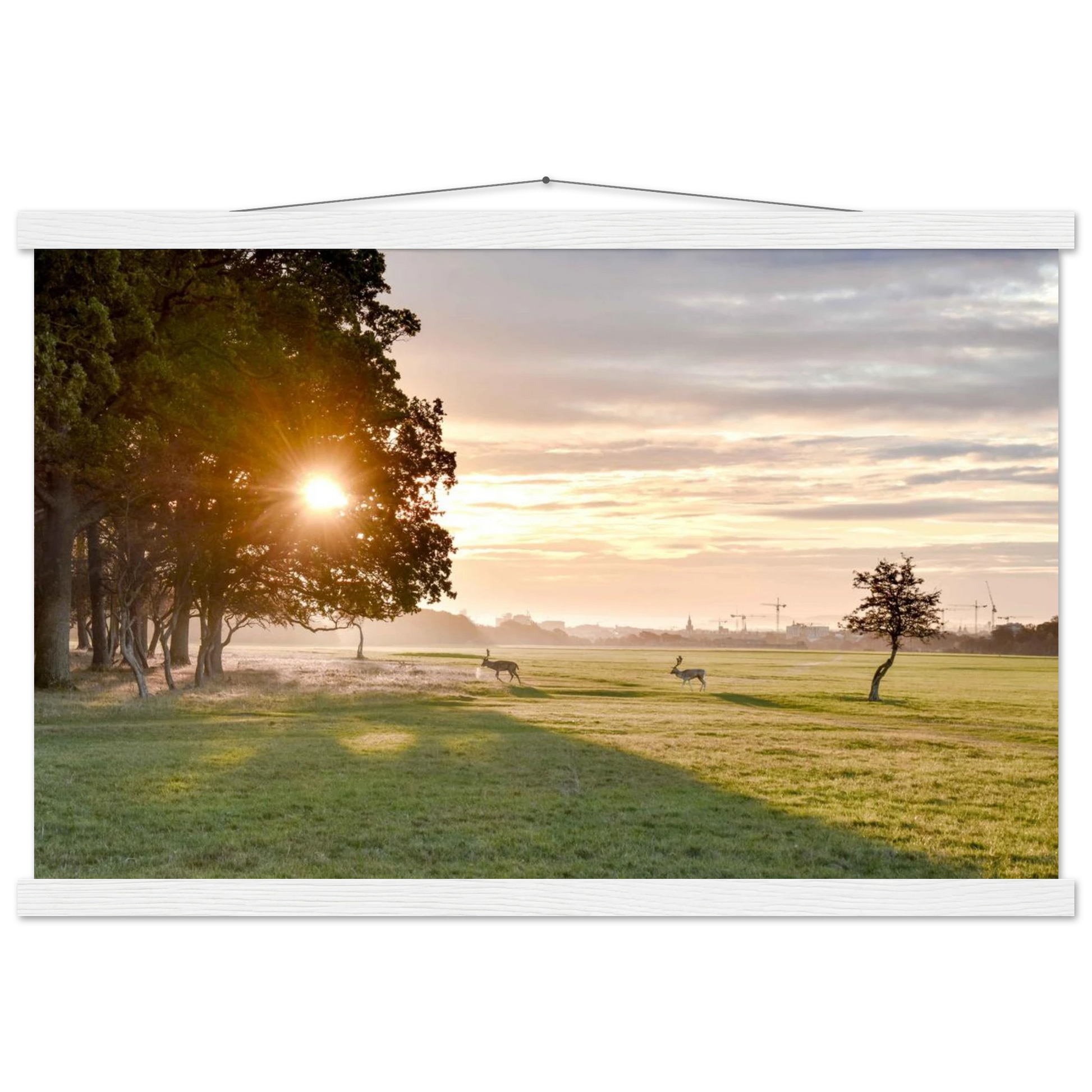 87b84fa8-5ad0-4adf-8844-c5e1e47a1f1c