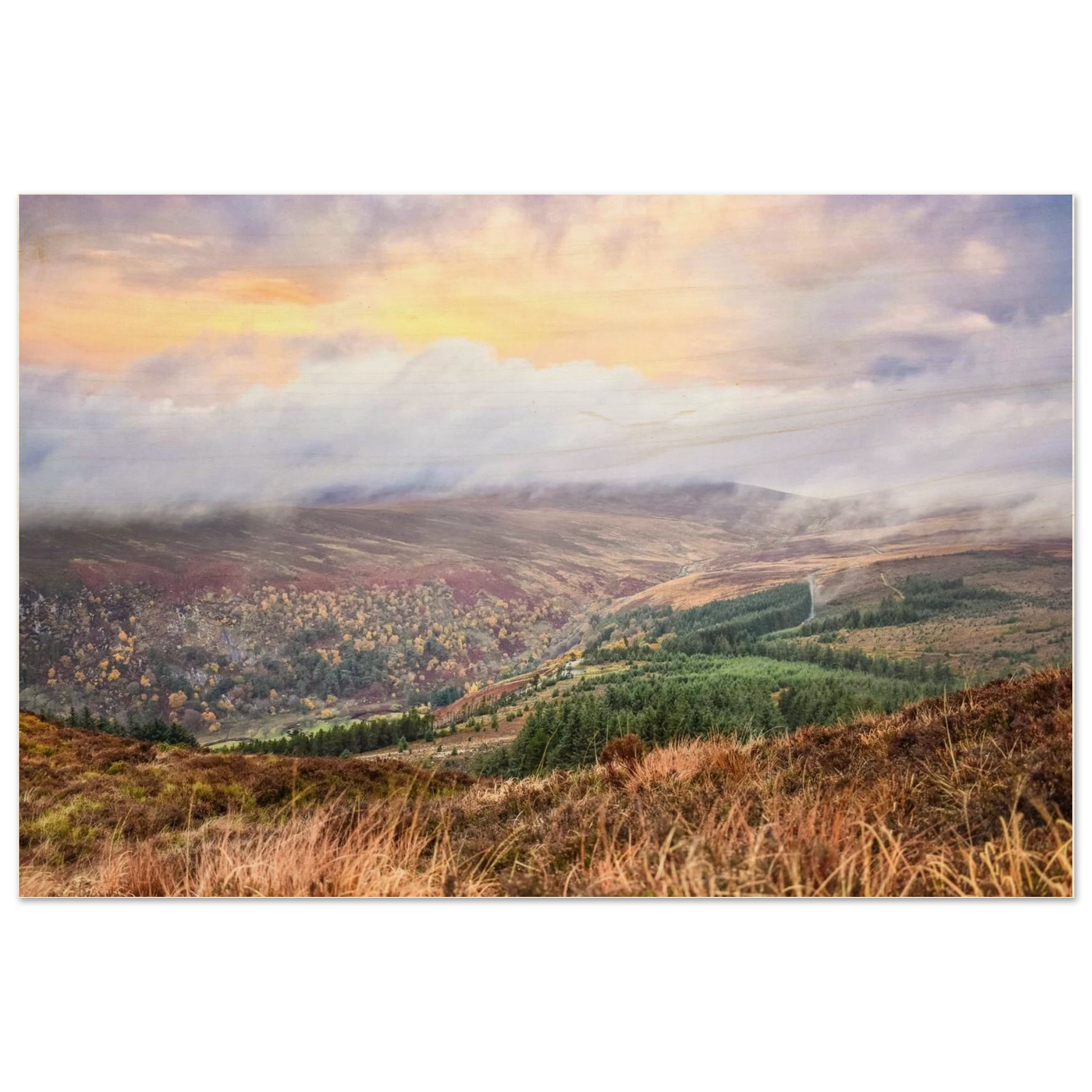 883baa39-e499-4741-9945-cf1e03a1dc4c