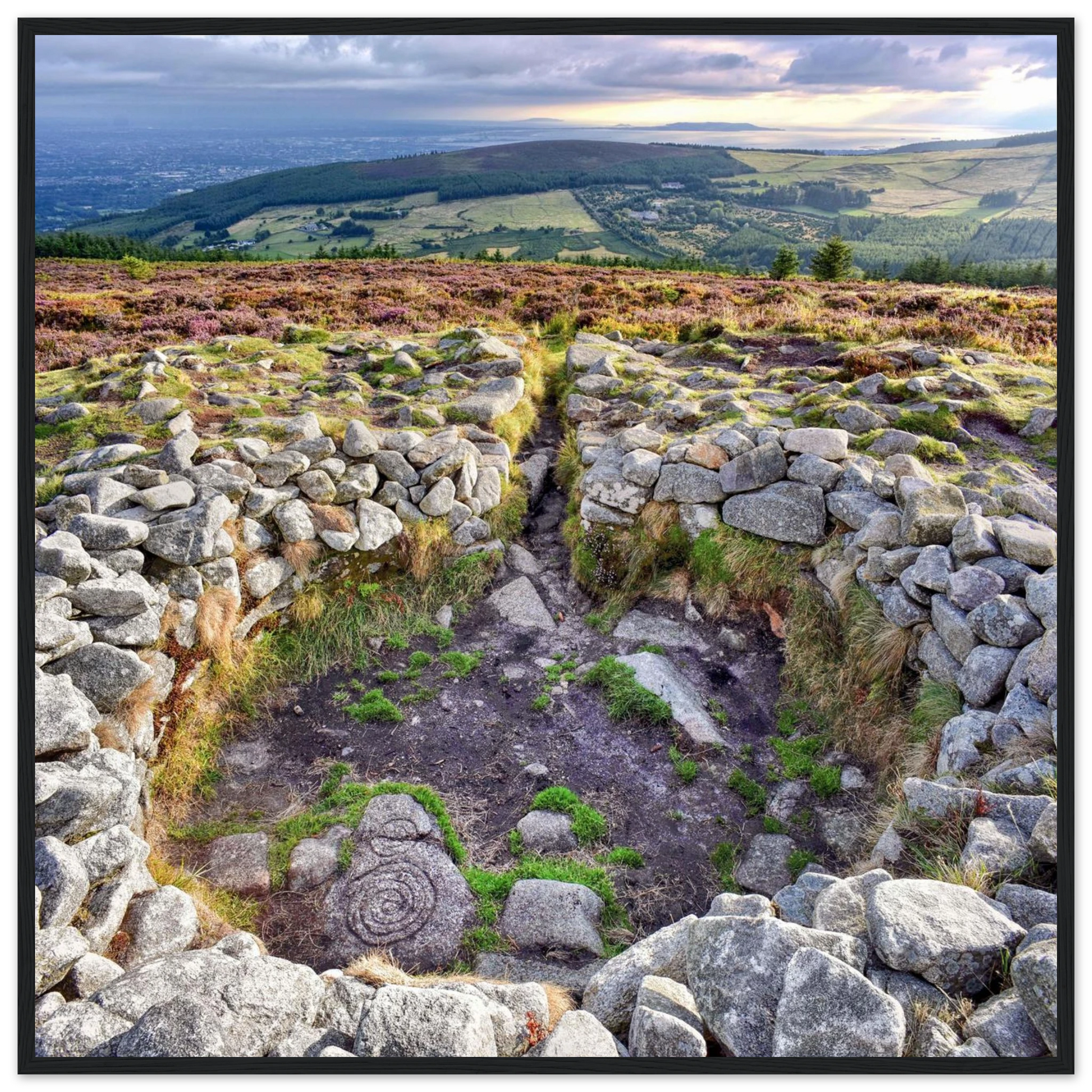 88755ea1-5843-44c8-b8b7-ea8a11f7b5b5