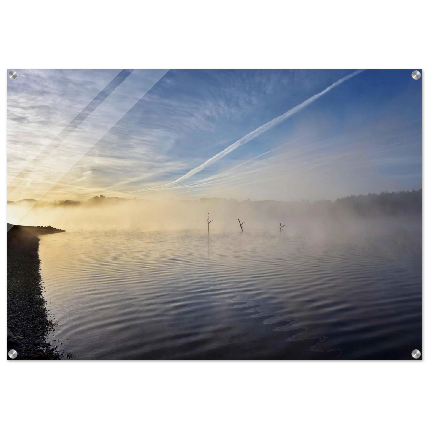 88a80e8e-4b32-4613-a36f-5d25f9906251