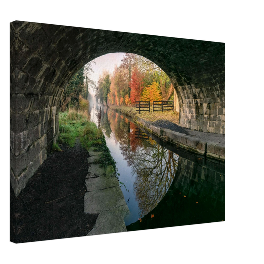 88b1db61-006b-4e00-9f54-8cfb1b04c453