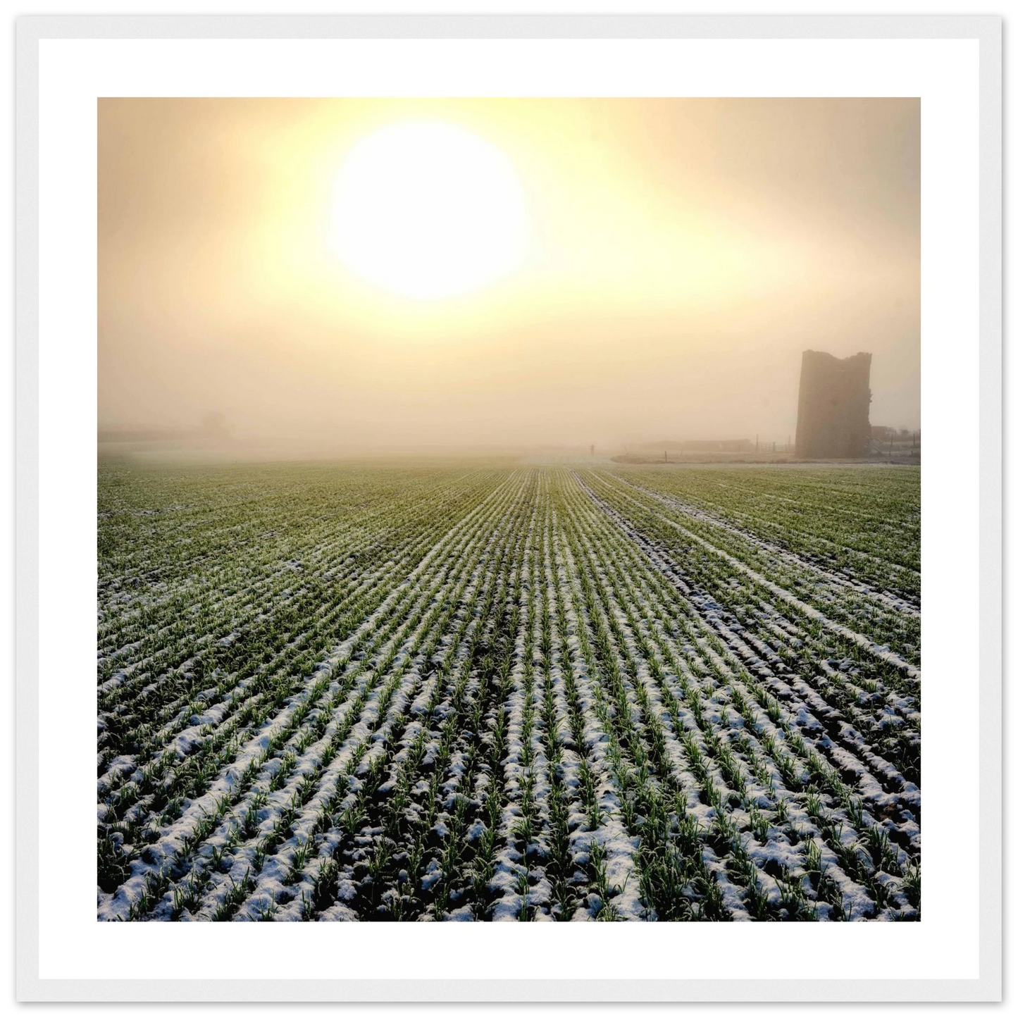 88c11752-8d12-4dc4-98eb-96efce6c4d70