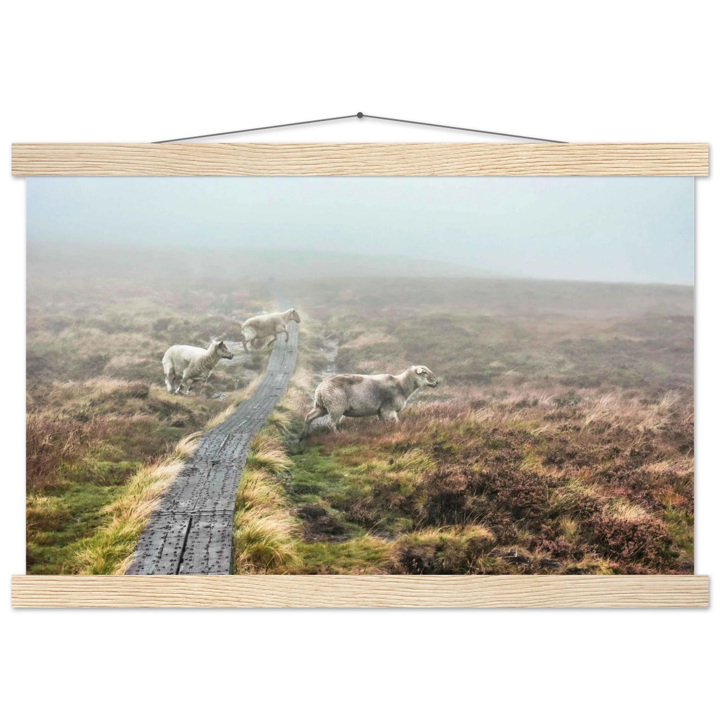 891ebfa5-0cde-4611-af2b-9850f43af93a