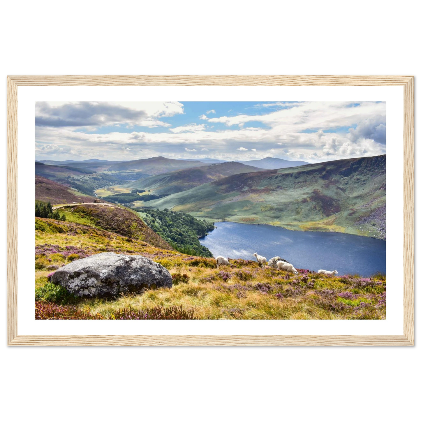 897f405b-5eaf-4a77-870a-c202a6d5cc09