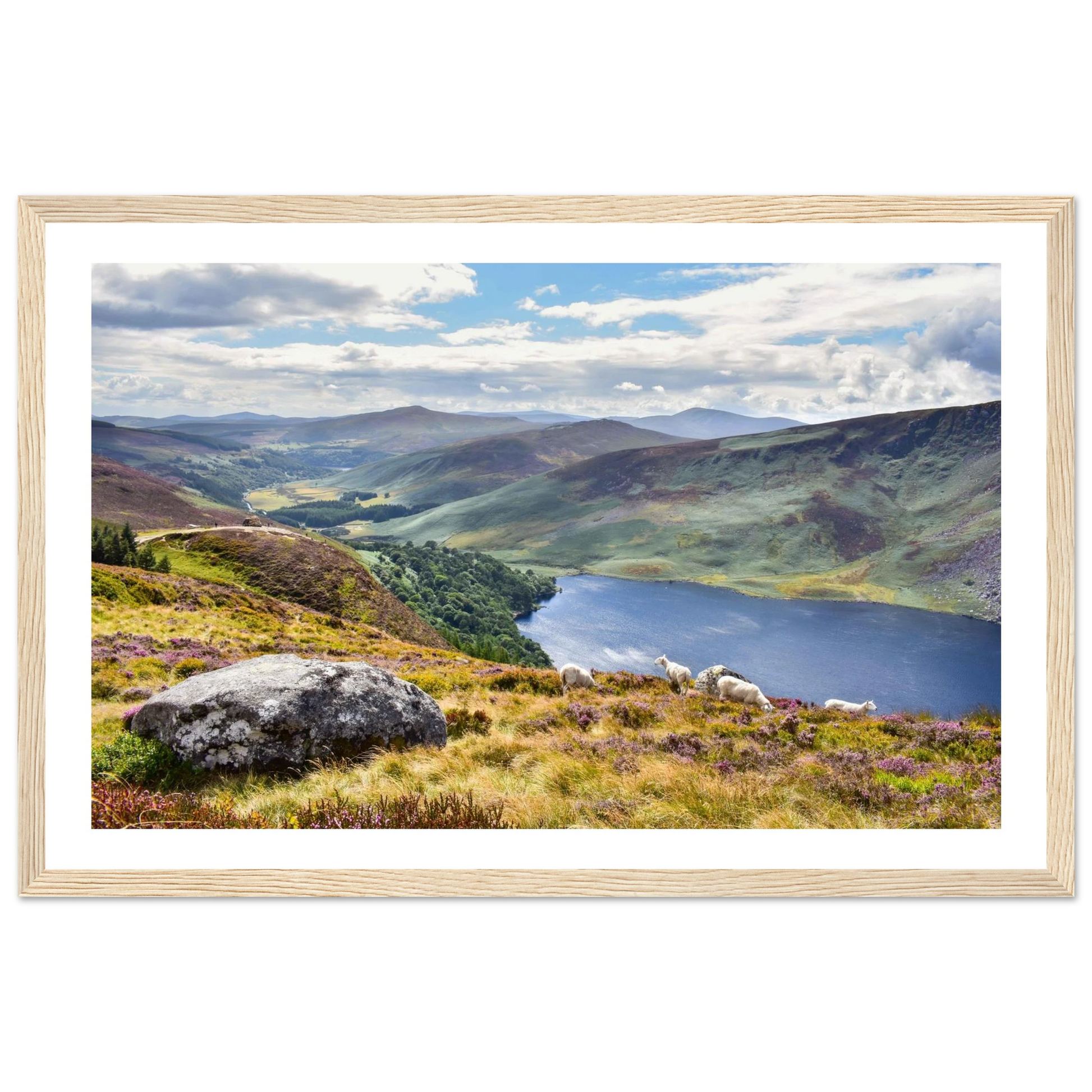 897f405b-5eaf-4a77-870a-c202a6d5cc09