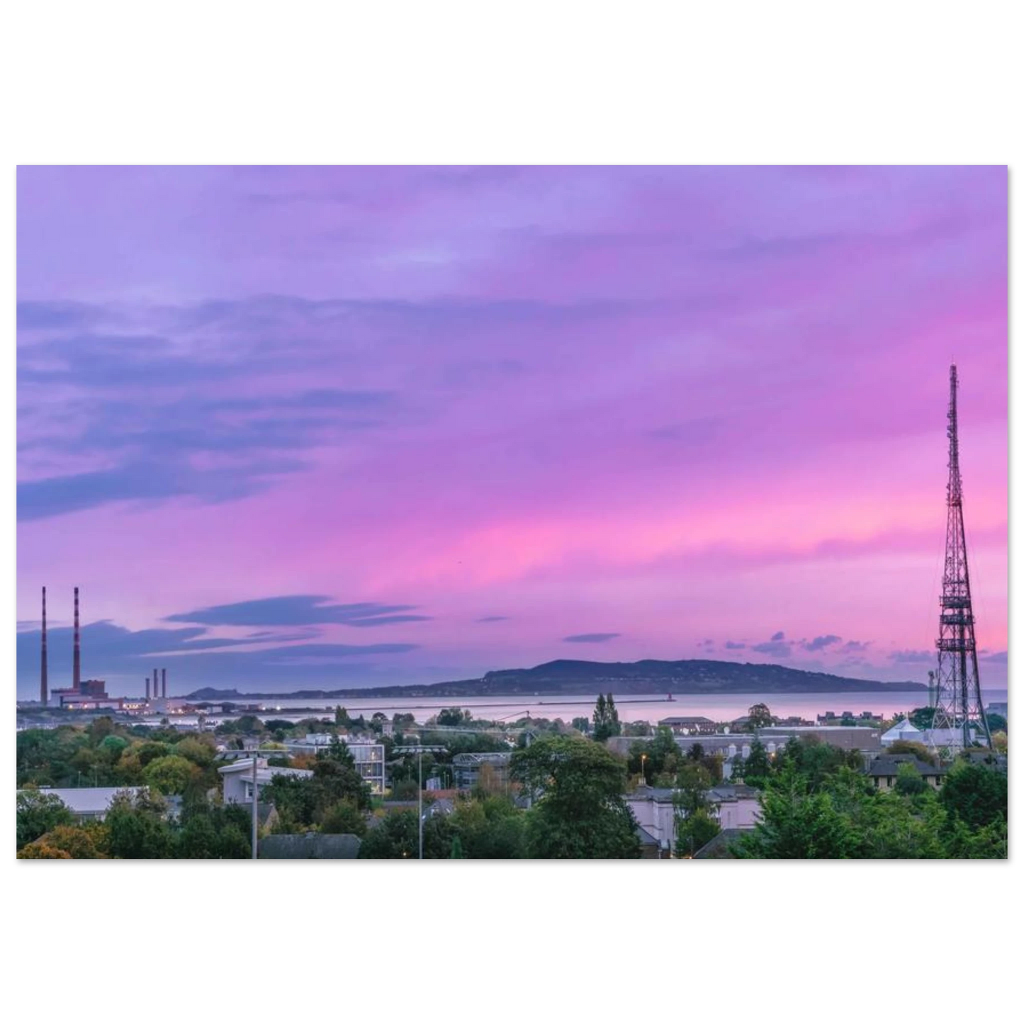 8981e8a9-4d52-4ea5-980a-7652ab25014c