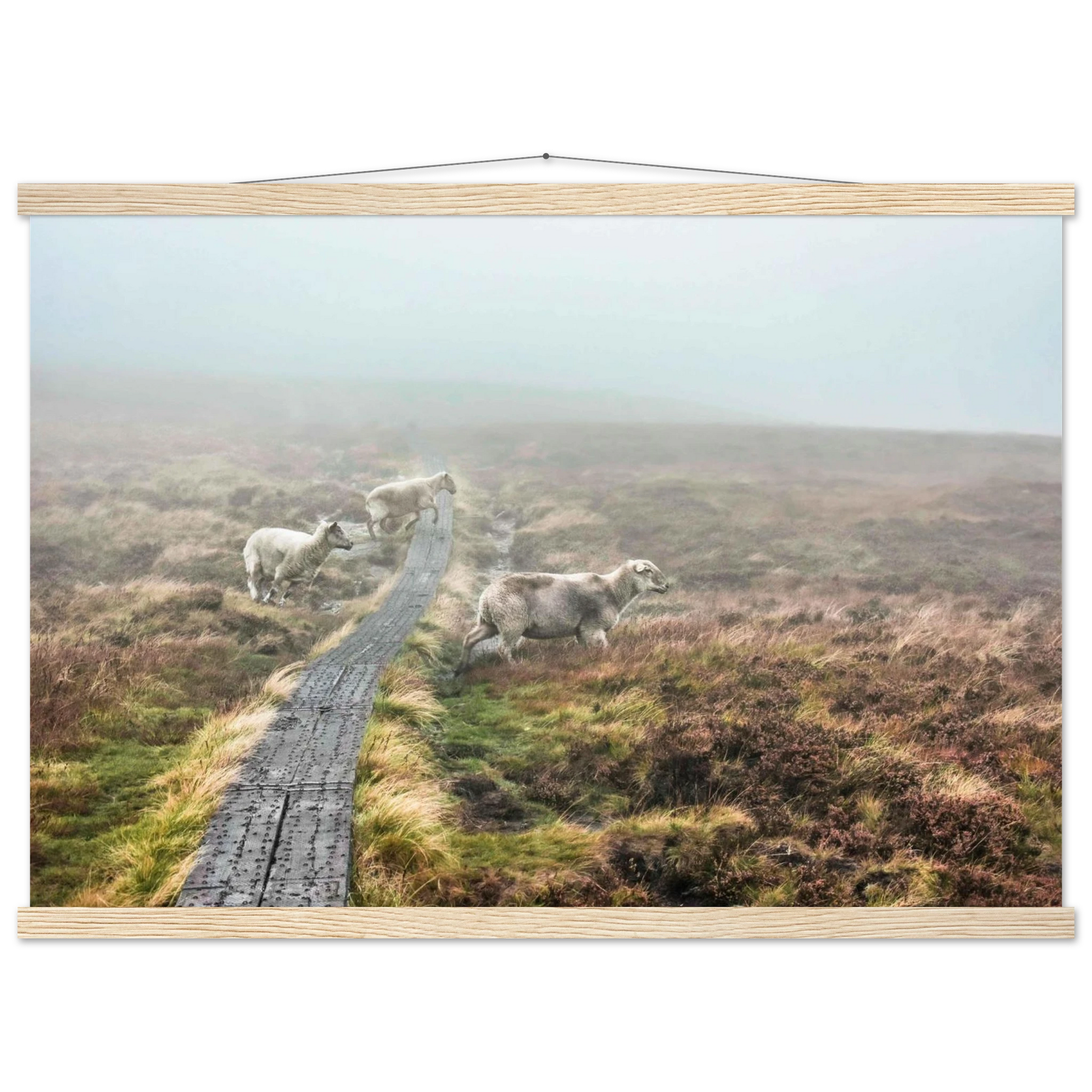 89e4d707-075b-4cf3-9c05-fc7ab145b600