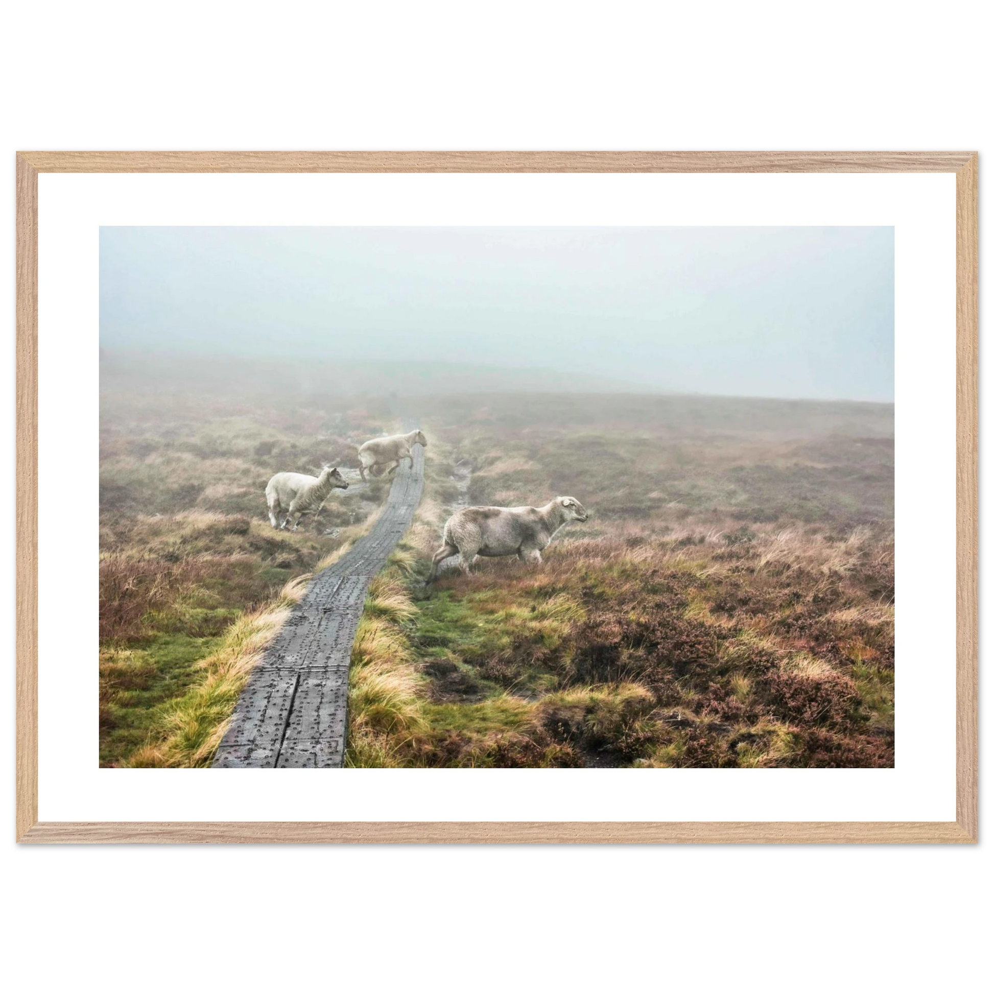 89f6865b-6631-4bfd-ad17-73c258ce2d69