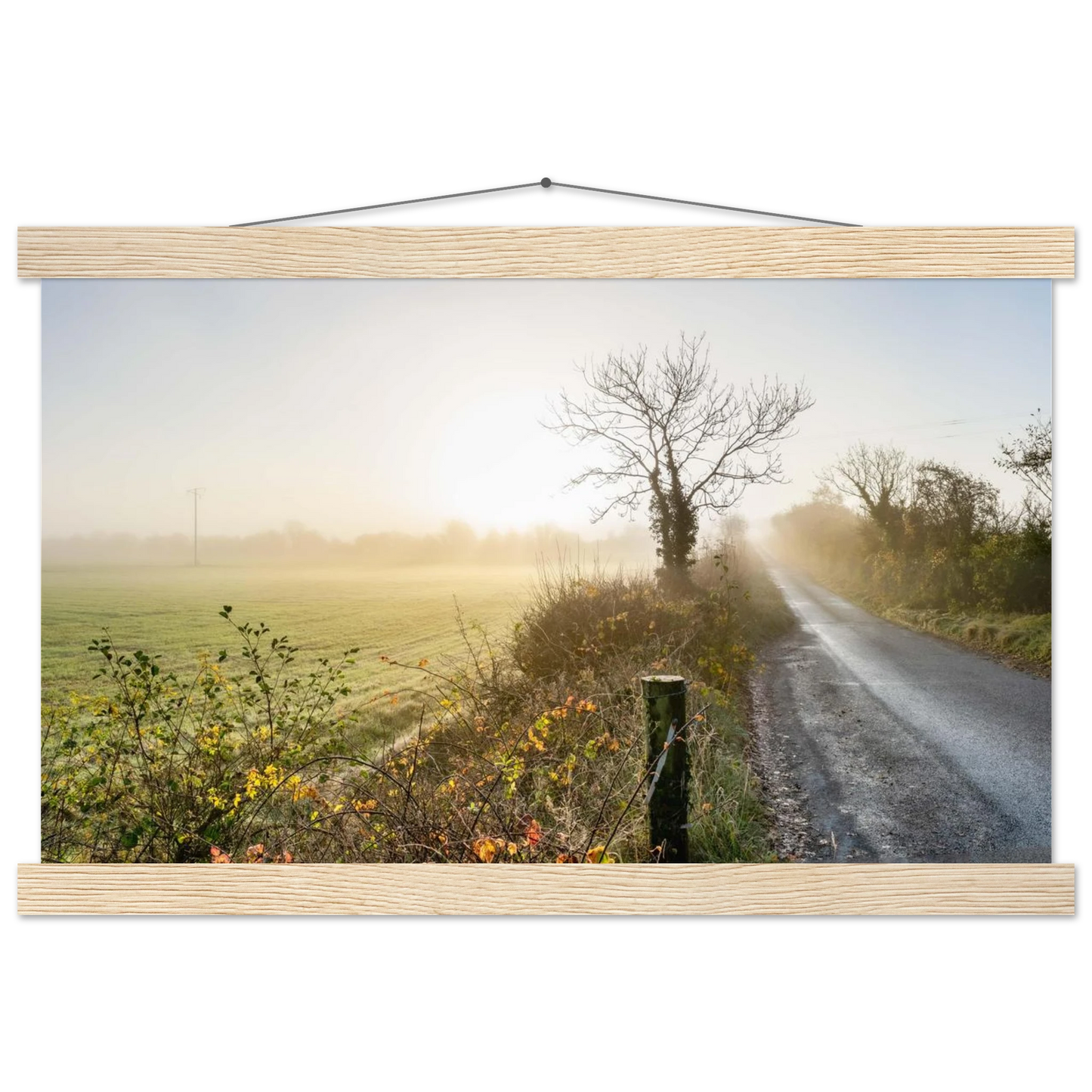 8a064c2e-cab3-4ced-8705-82eef6b9c373