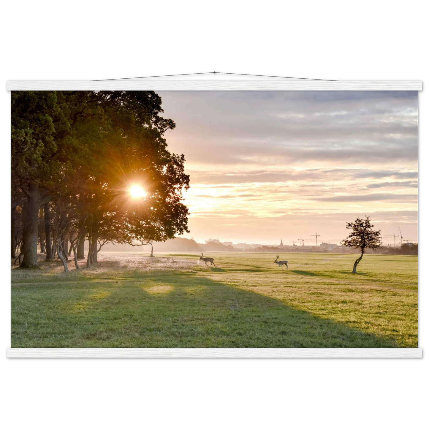 8a37823a-d42f-4244-a7e9-e591c0c02efd