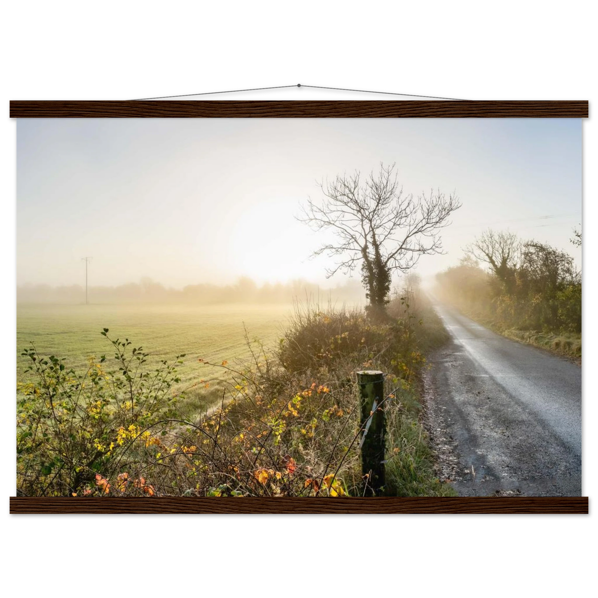 8b3bc787-60cb-40f2-aea3-072d673fb747