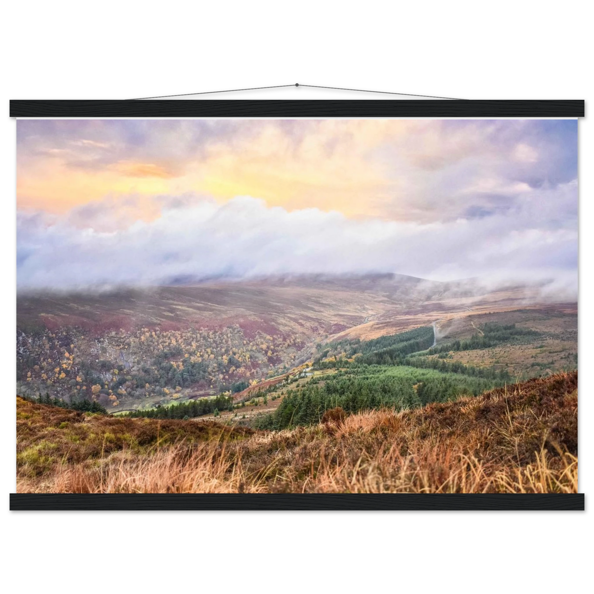 8bdbfafa-39a0-4b99-8080-907179770183