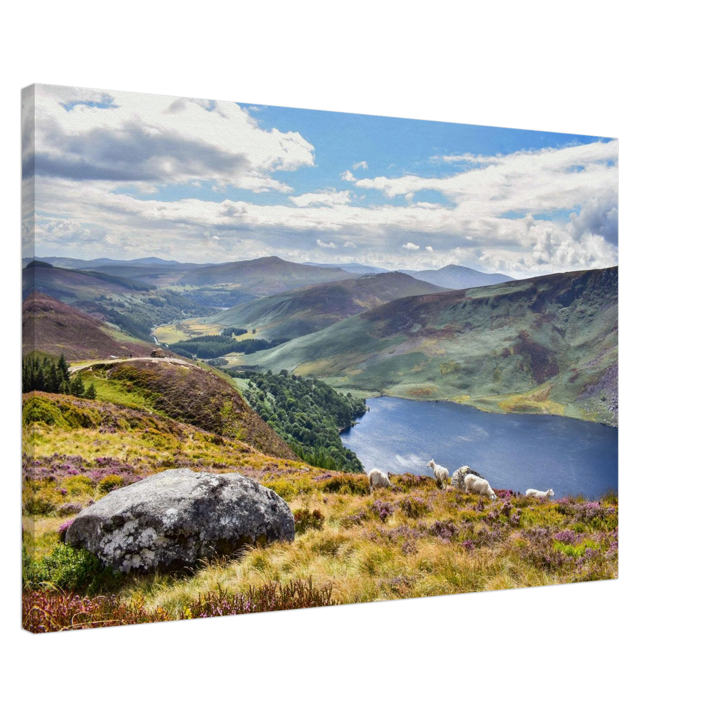 8c250950-5ce4-4f20-af23-021a63b2397a