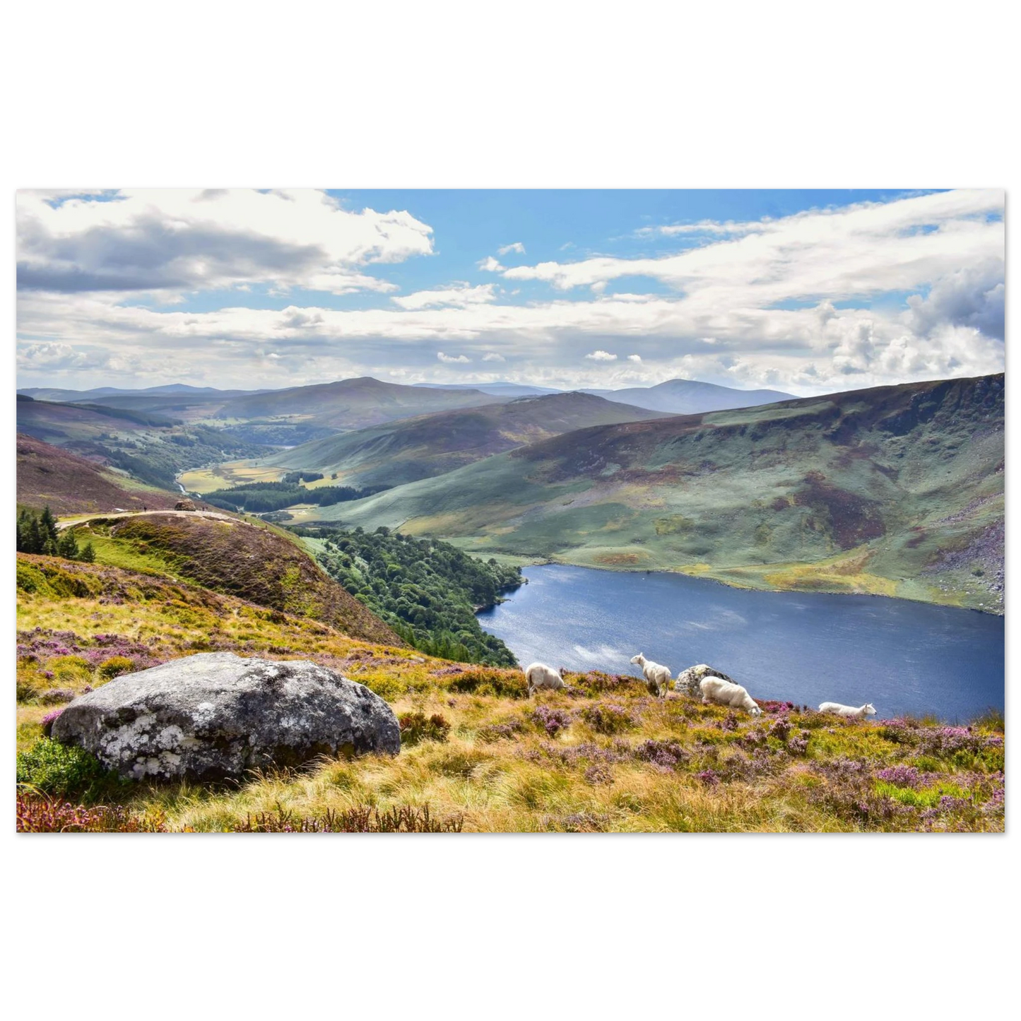 8c8eb68a-58ad-475a-ac73-293a23b9c56b